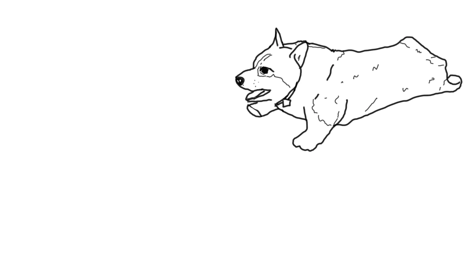 Ein Trainer sollte sich nicht nur gut mit Hunden auskennen, sondern auch mit Menschen.