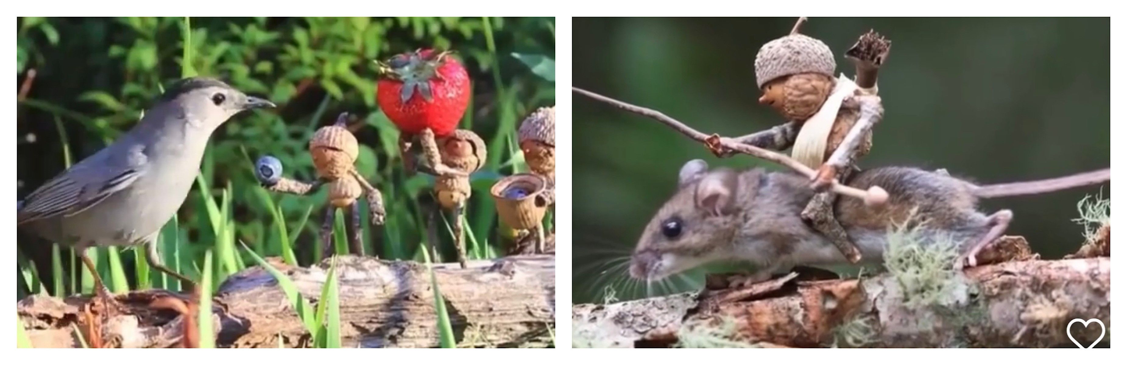 Image - „Becorns“ sind besser als Lego: Mann (42) wird mit Figuren aus Eicheln zum Internet-Star