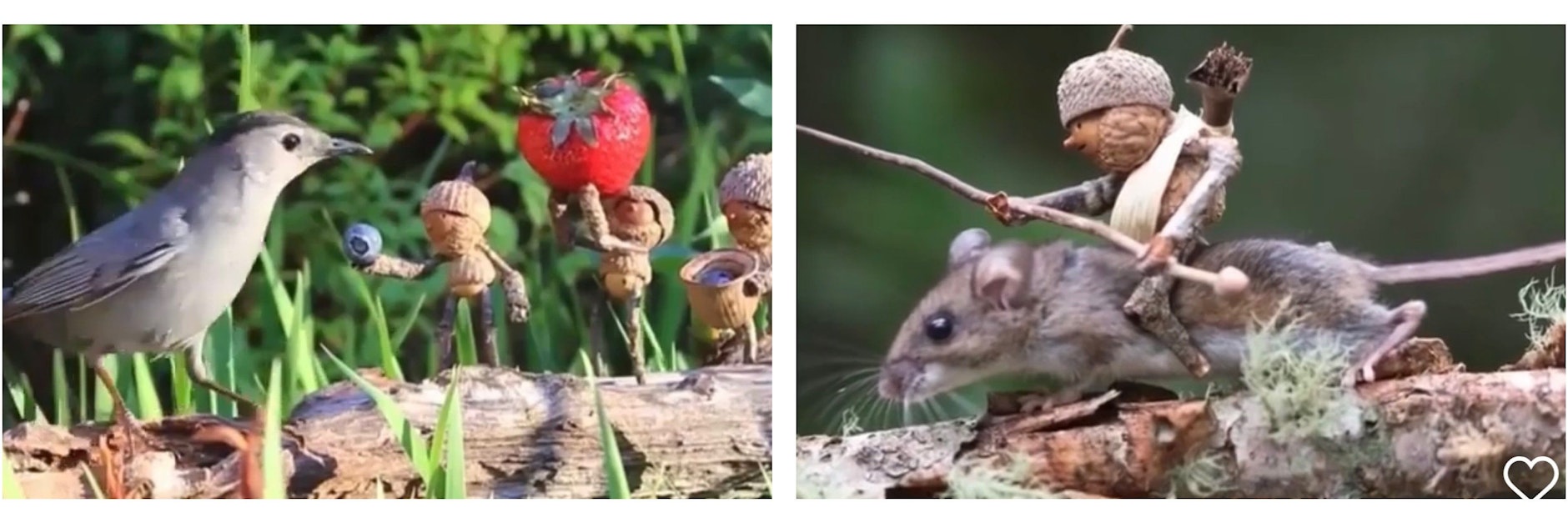 Mit seinen Figuren aus Eicheln, die er „Becorns“ nennt, und den Fotos davon verzückt David M. Bird seine Fans auf Instagram.