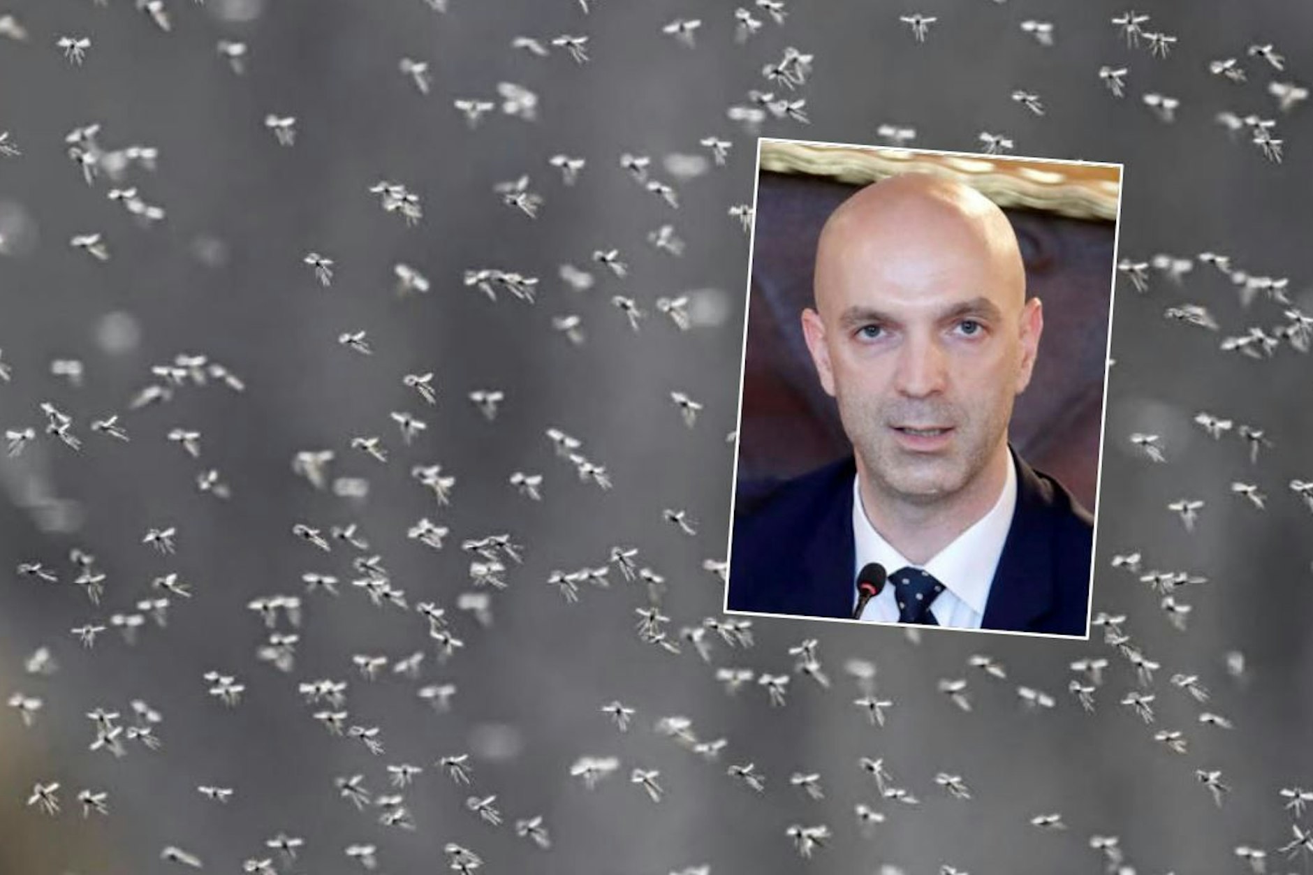 Jonas Schmidt-Chanasit will alle Mücken in Deutschland bekämpfen.