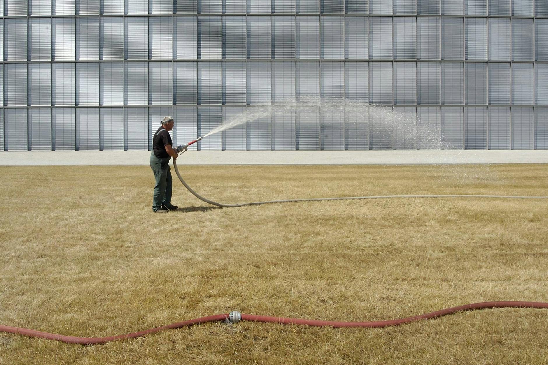 Ein Mann sprengt eine ausgetrocknete Rasenfläche in Berlin.