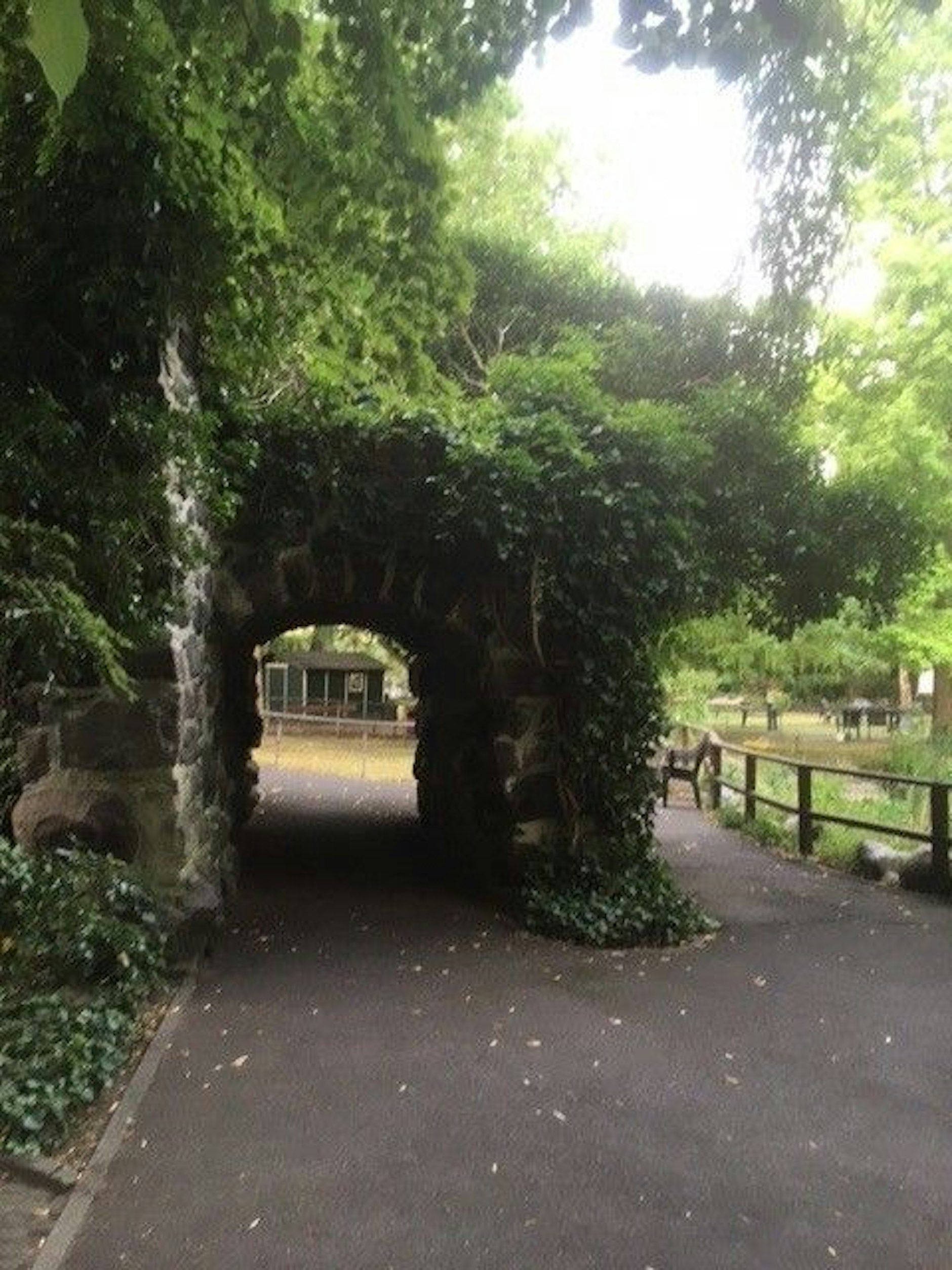 Dieser efeubewachsene Tunnel ist der einzige Überrest des Seebads Mariendorf, er war früher Teil der Grotte. Heute steht das Bauwerk aus Findlingen&nbsp; im Park eines Altenheims an der Ullsteinstraße.