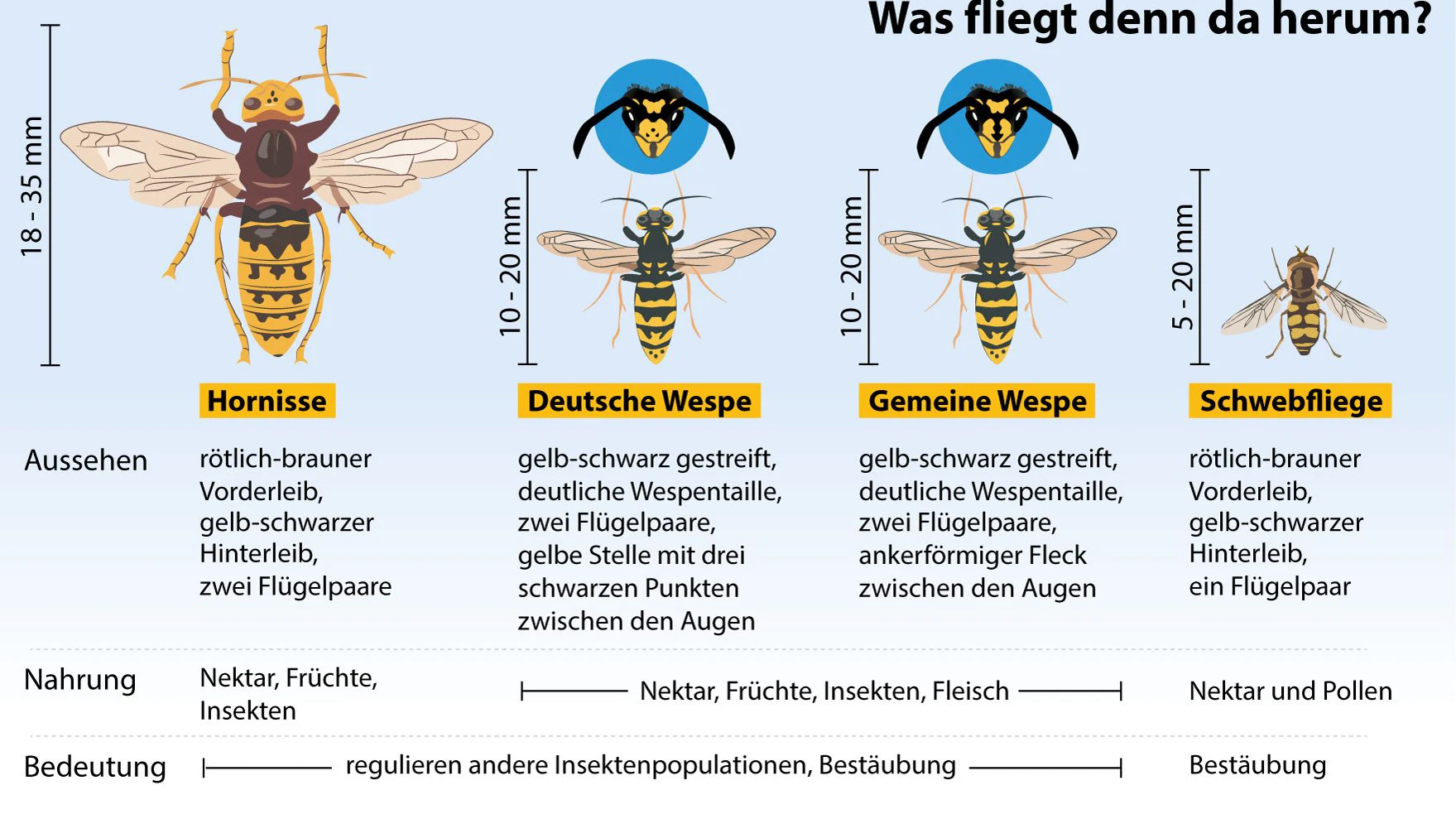 dpa-infografik, Quelle: Nabu und LBV