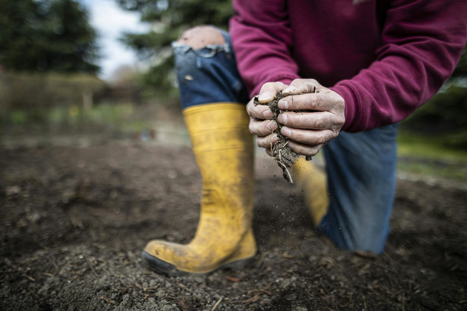 Ein Mann prüft die Bodenqualität in einem Garten.