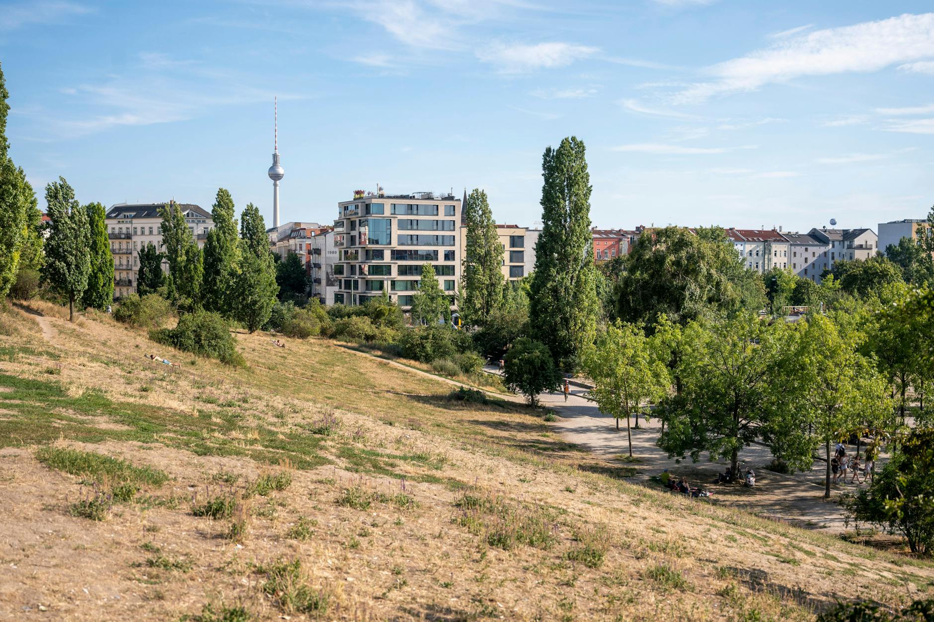 Bis auf wenige Büschel ist auch der Rasen im Mauerpark komplett verbrannt und ausgetrocknet (Foto vom 3. August 2022).