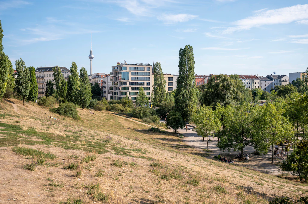 Hitze, Dürre, Rekordsommer: Wird mein verbrannter Rasen jemals wieder grün?