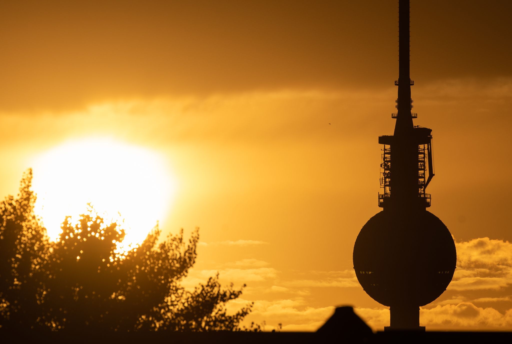 Image - Wetter spielt verrückt: Erst Tropennächte, dann Polarluft – SO KALT wird es wirklich