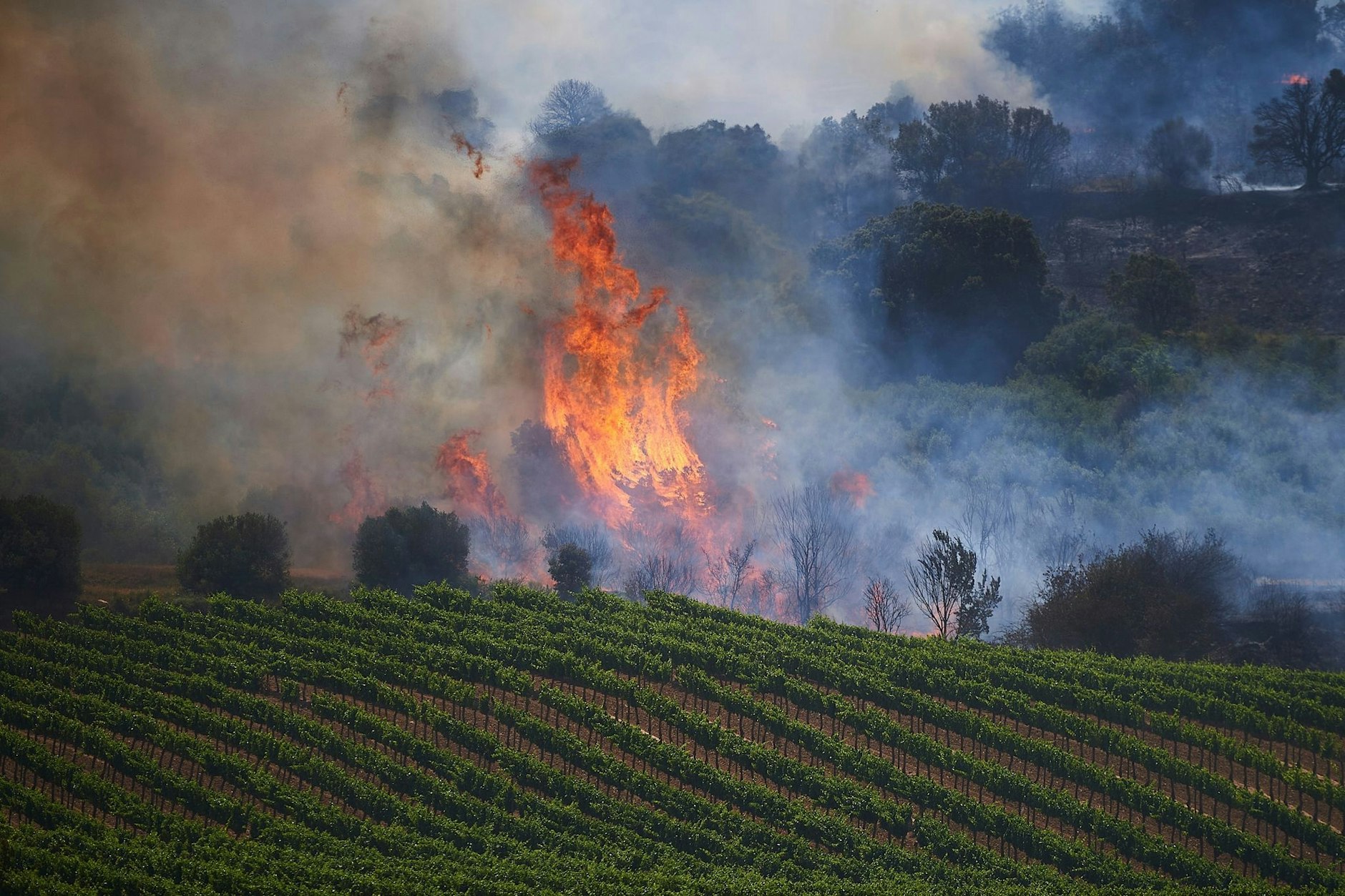 Waldbrände verwüsteten in diesem Sommer bereits große Flächen vor allem in Südeuropa. (Symbolbild)