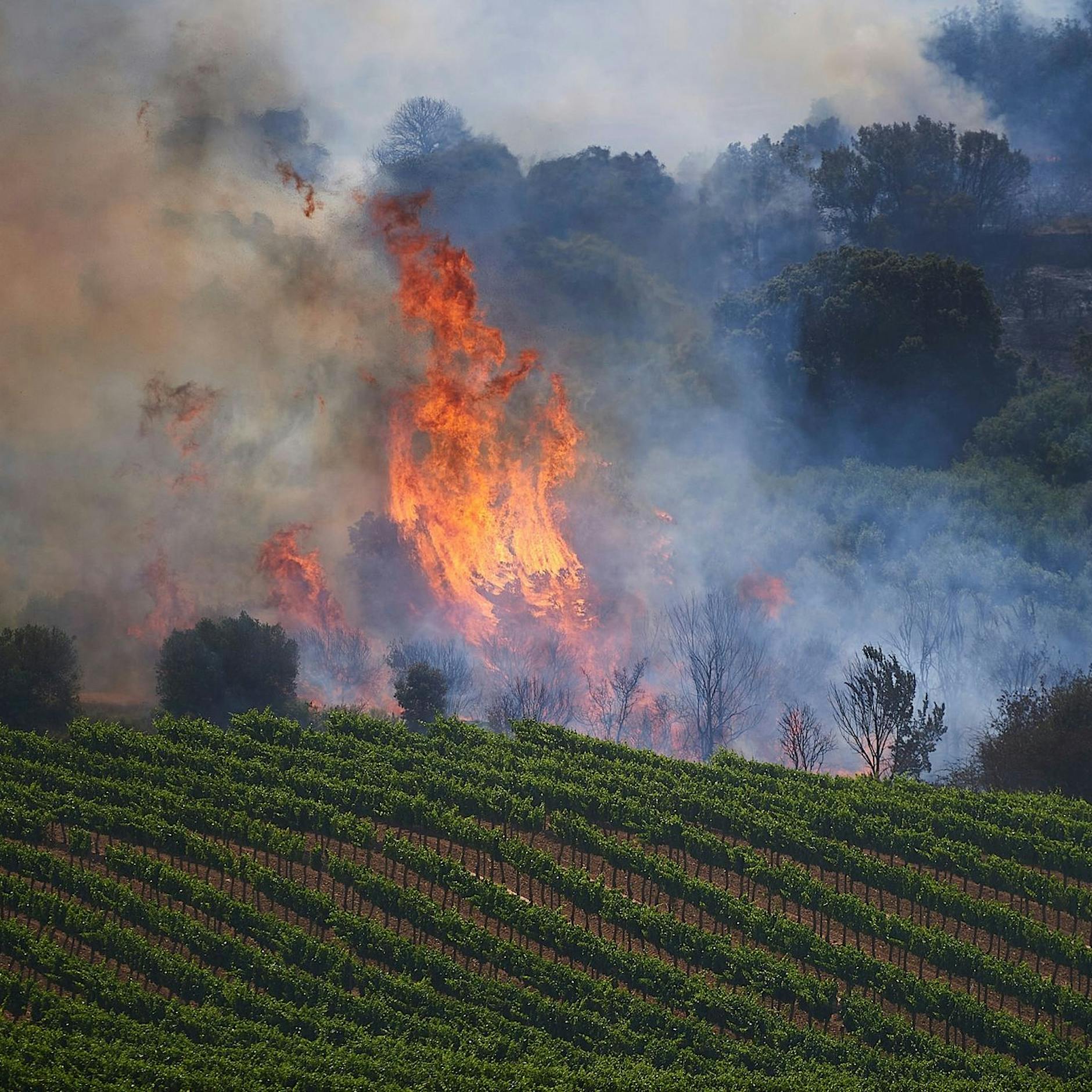 Verdacht der Brandstiftung auf Mallorca – Deutscher soll mindestens acht Brände gelegt haben