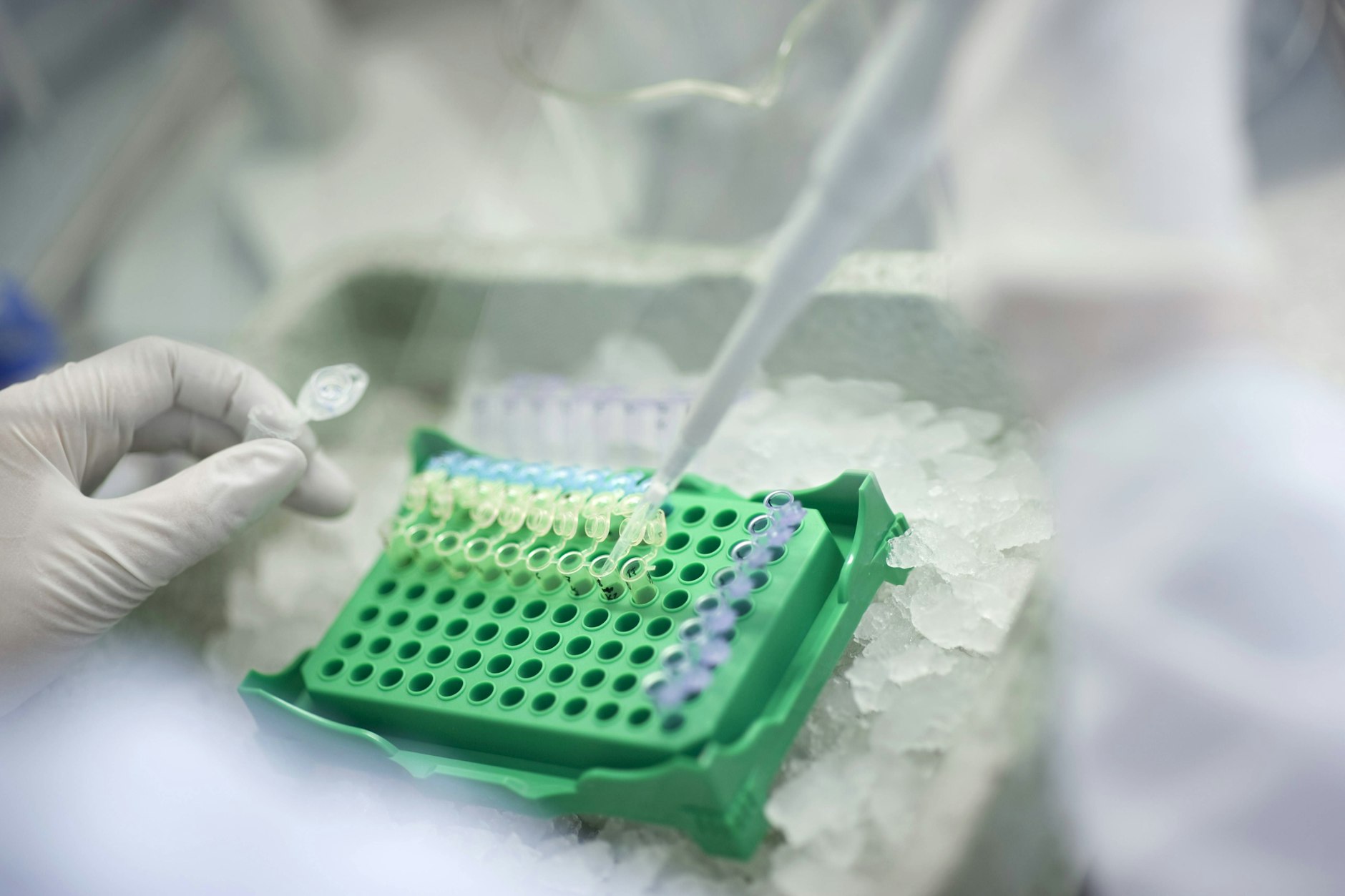 Antibiotikaresistenztest in einem Labor. Die Forschung bringt kaum noch neue, wirksame Mittel hervor.