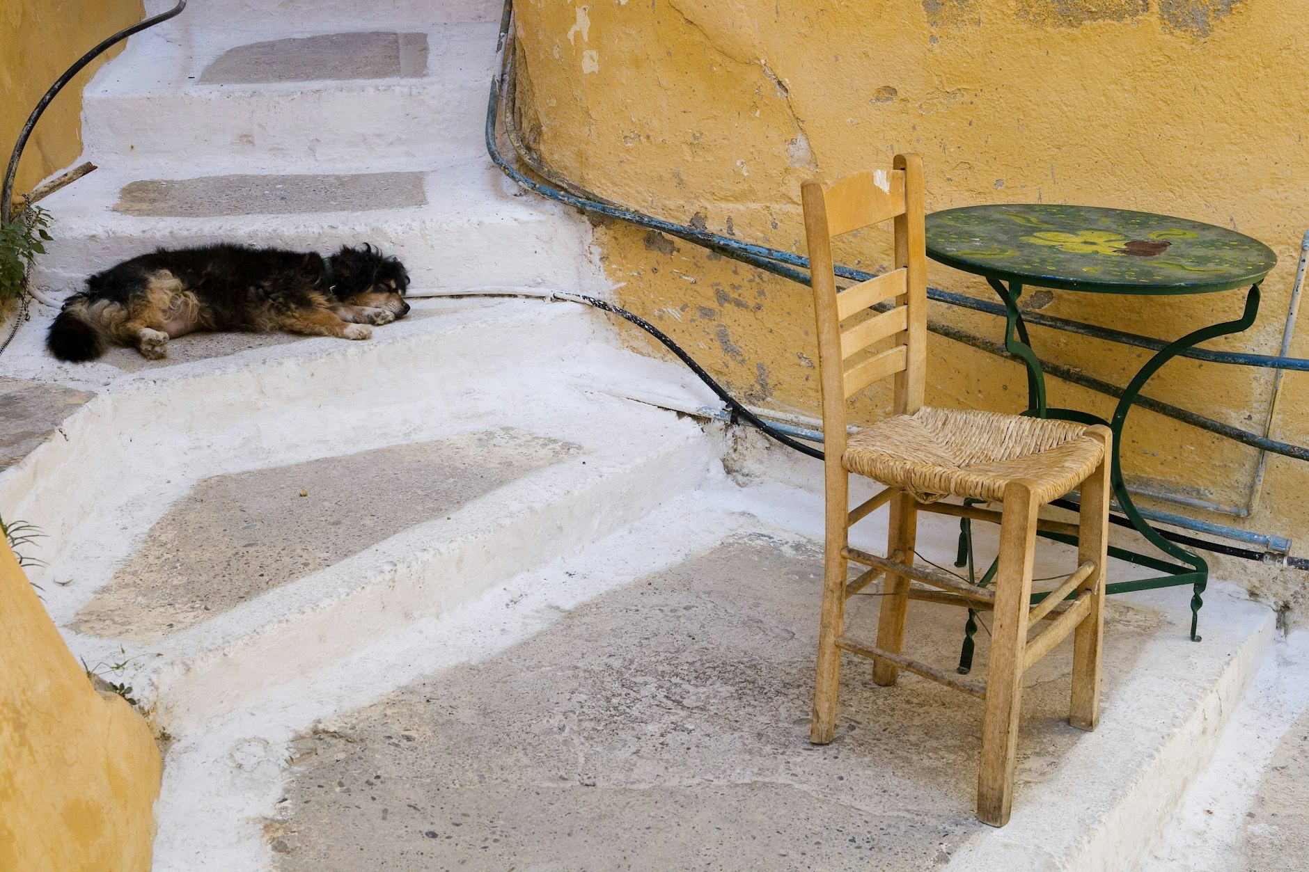 Schlafender Hund auf einer Treppe auf Kreta