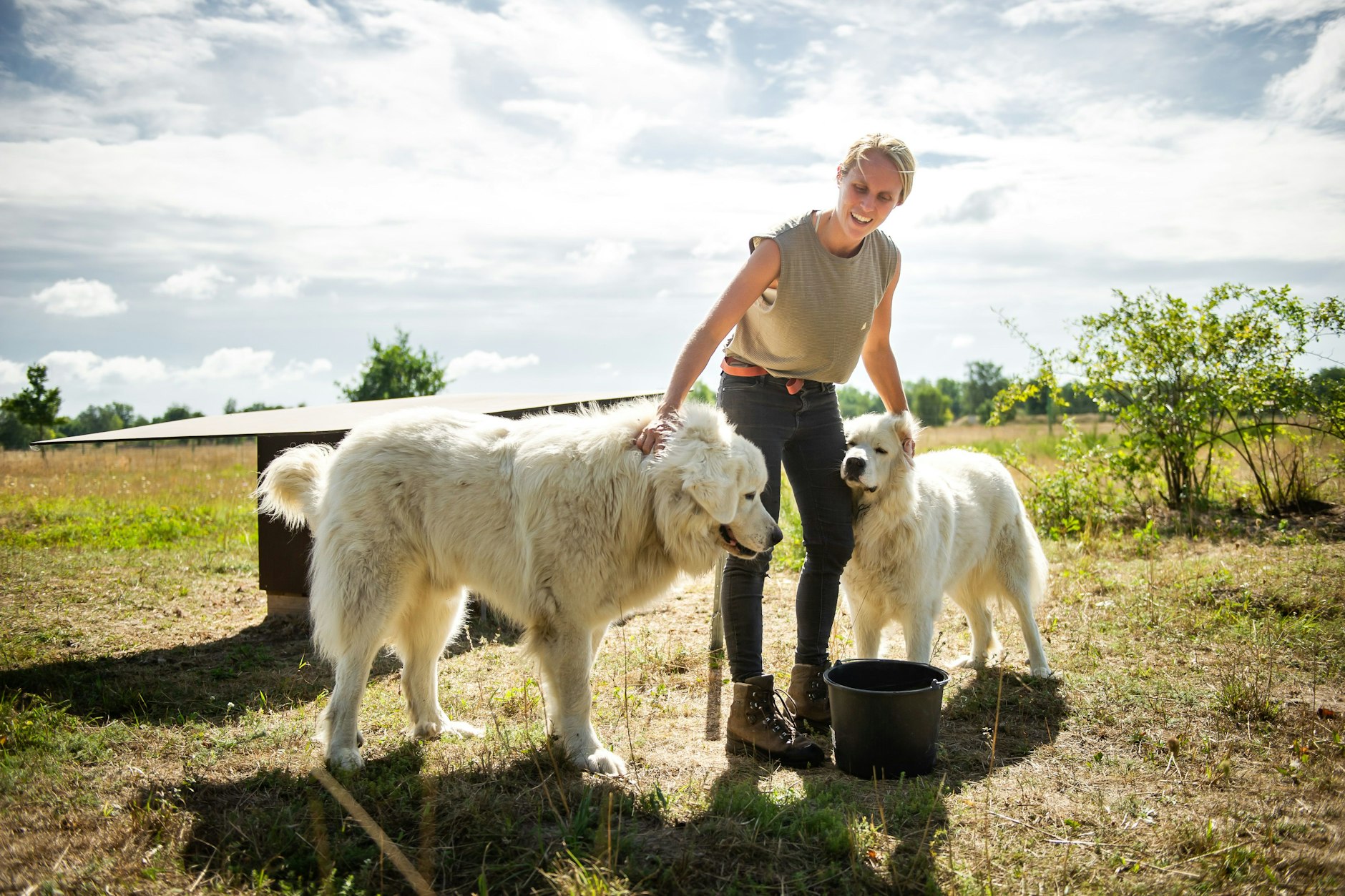 Schäferin Lisa Querhammer in der Döberitzer Heide mit Mapu und Maja.