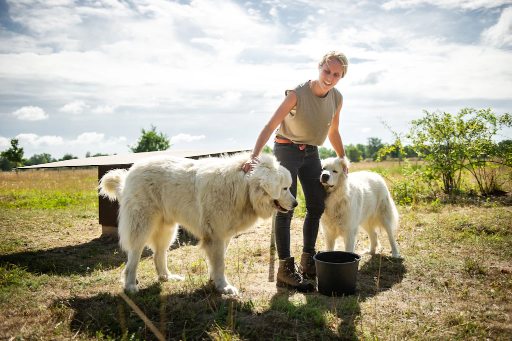 Hunde gegen Wölfe: Die Abwehrtruppe in der Döberitzer Heide