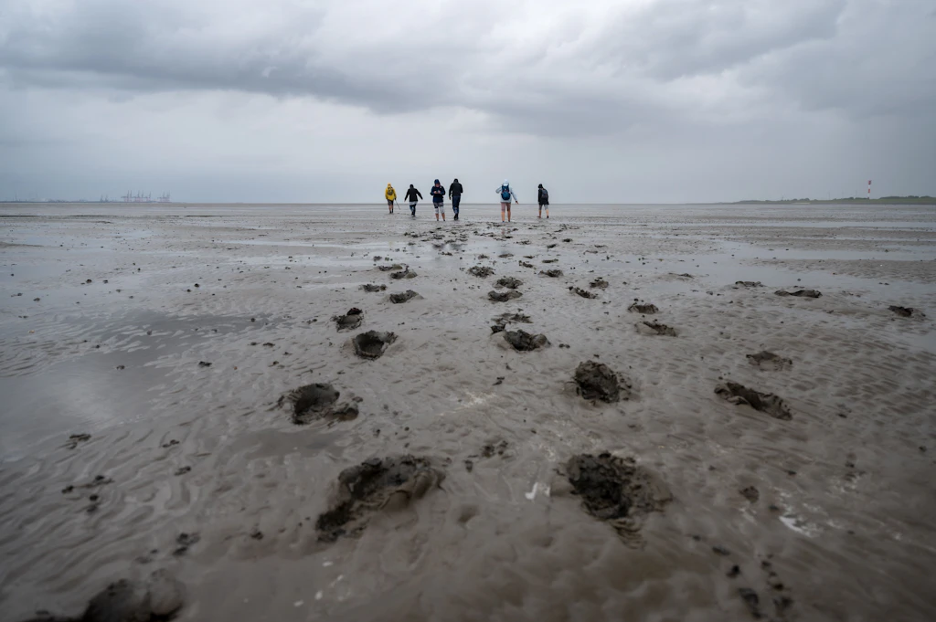 Urlaub an der Nordsee: Schafe betrachten und über Menschen nachdenken