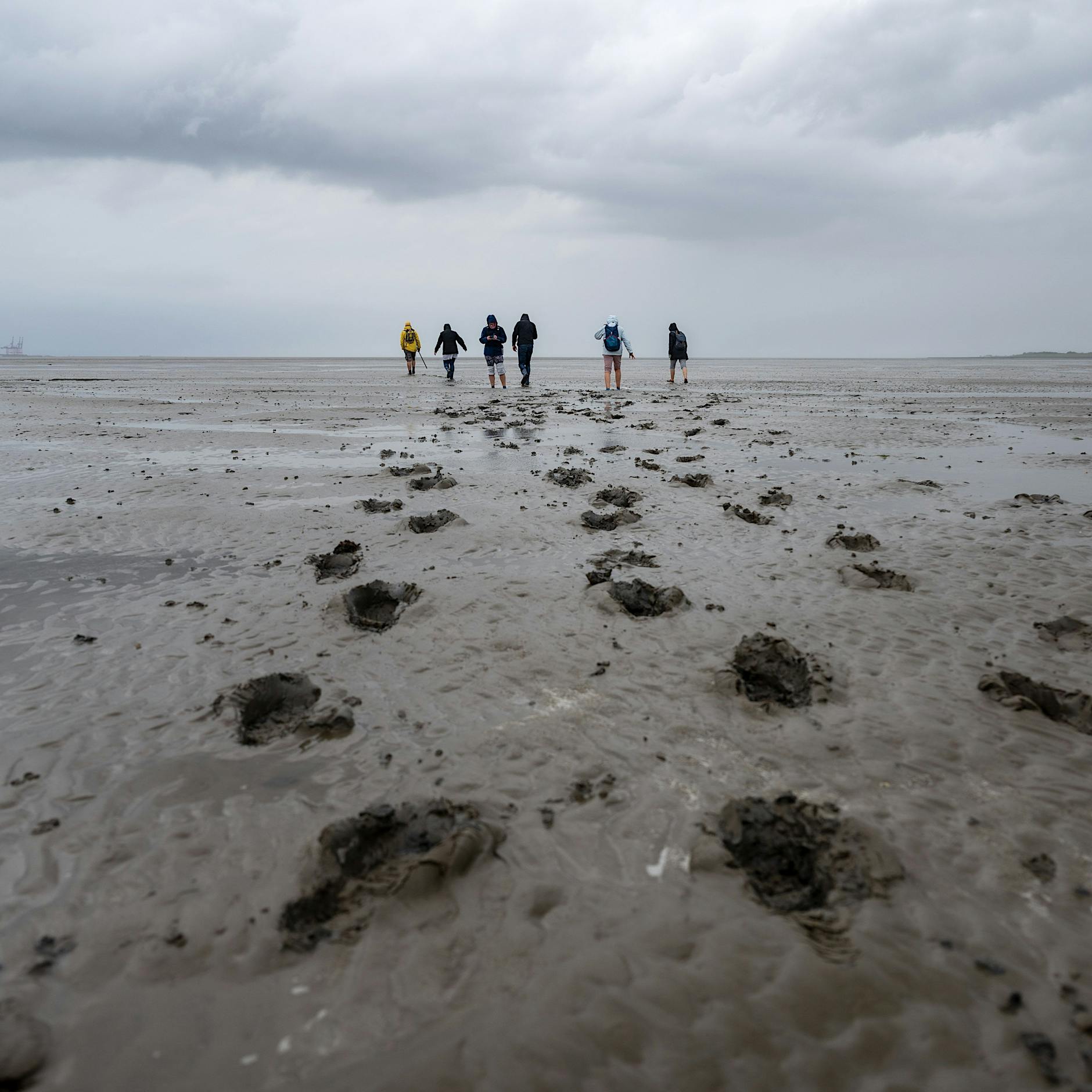 Urlaub an der Nordsee: Schafe betrachten und über Menschen nachdenken