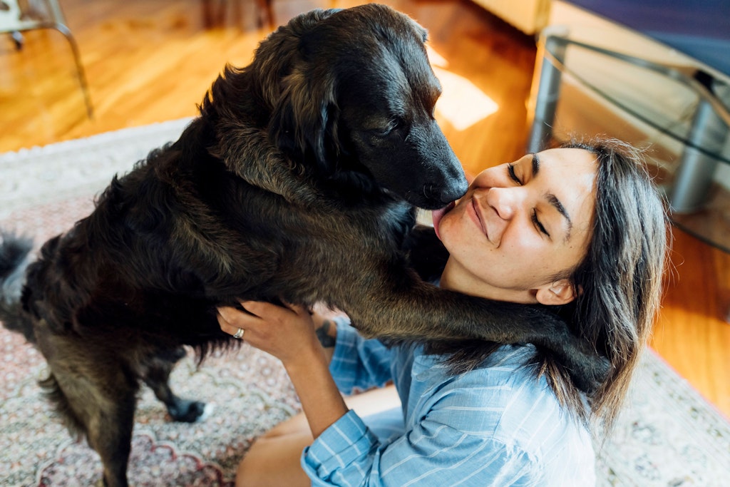 Liebt mein Hund mich wirklich? Zehn Anzeichen, die es beweisen und welche Fehler Sie dabei