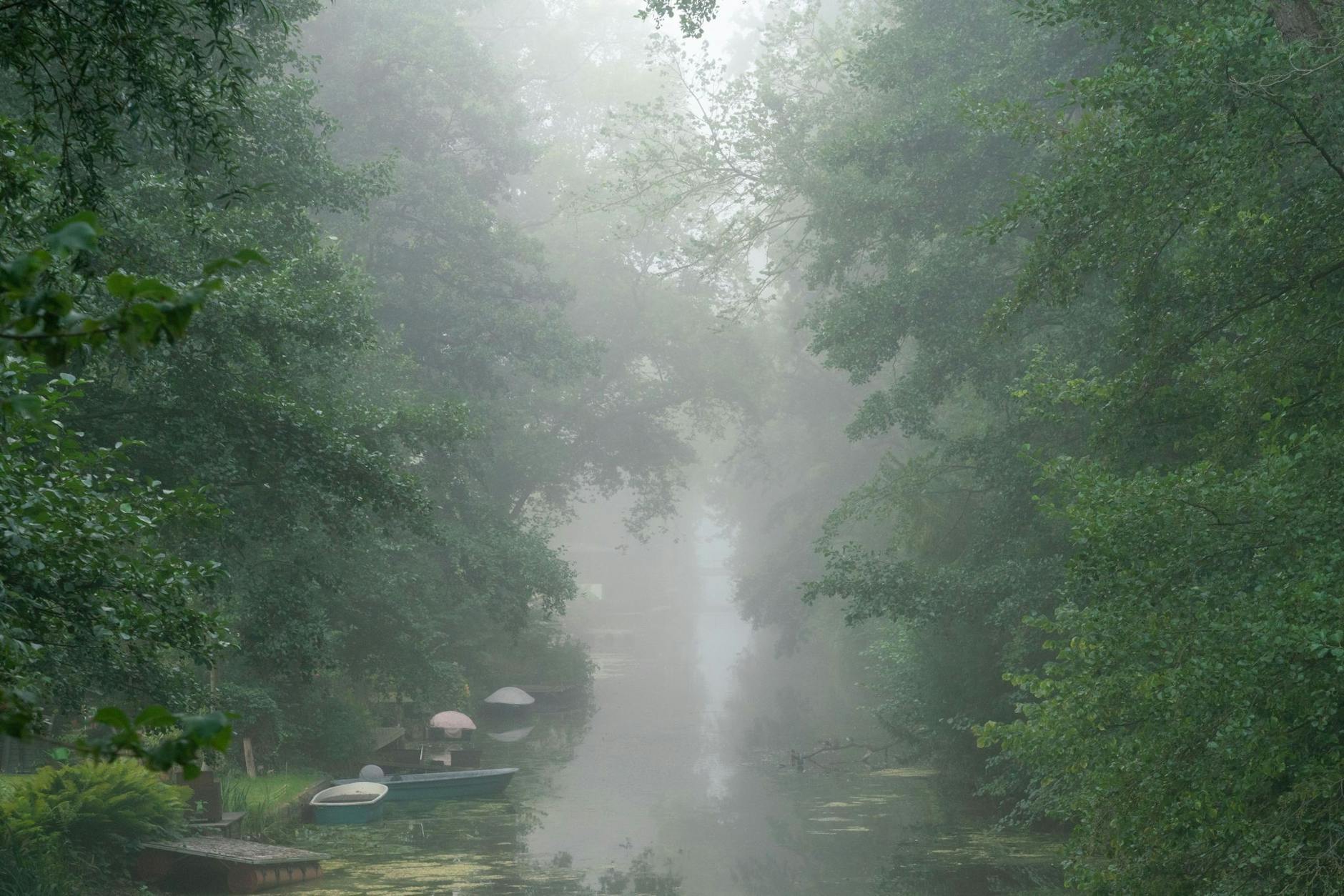 dpatopbilder - Der Hasengraben in Potsdam liegt im Morgennebel.