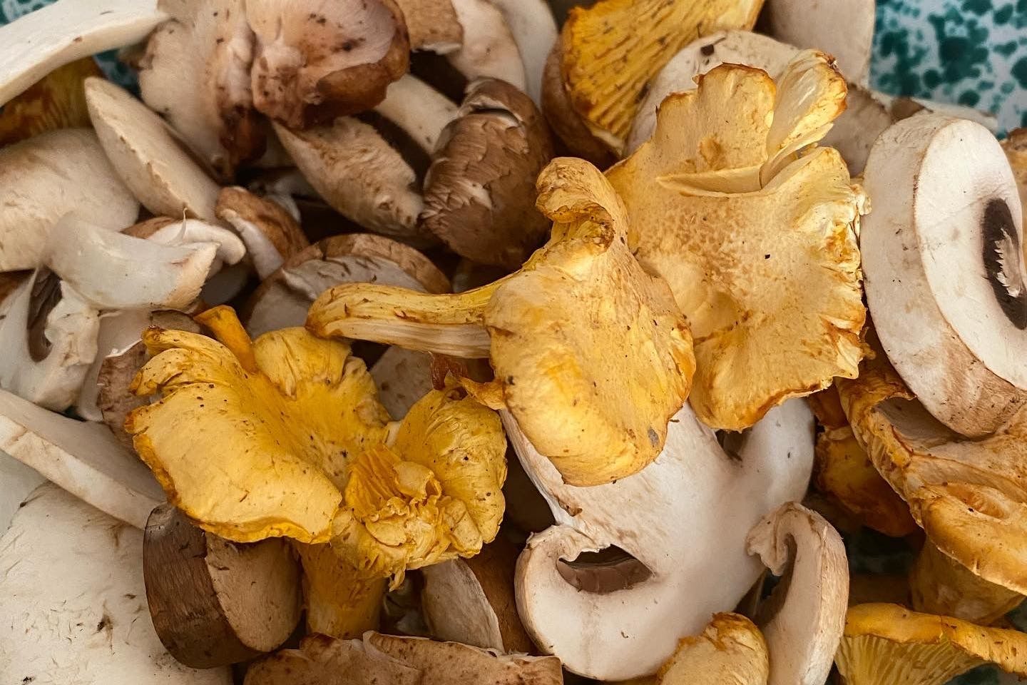 Pfifferlinge, Morcheln, Champignons: Alle Pilze sind geeignet.