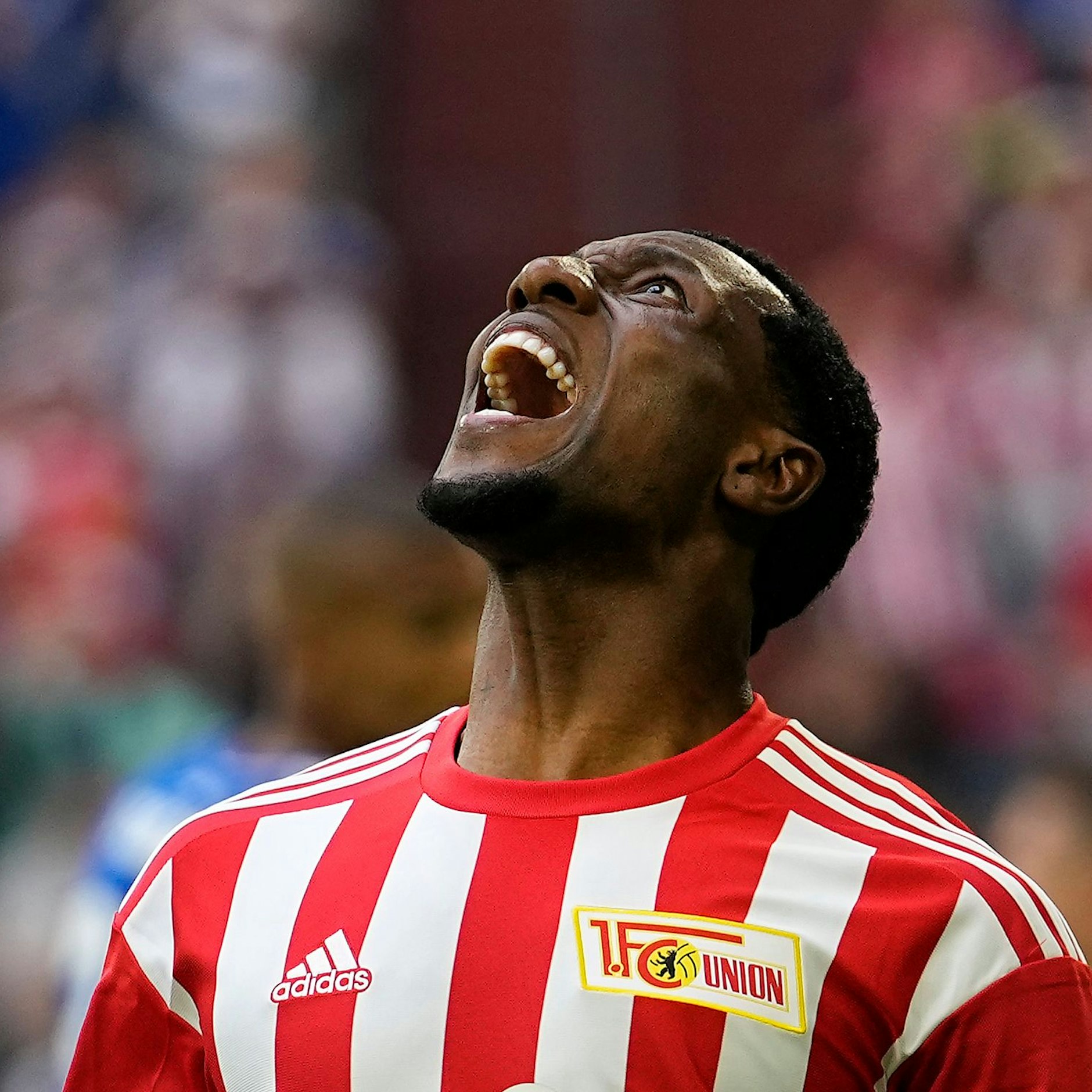 Doppelpack! Sheraldo Becker schoss sich mit seinen Buden drei und vier gestern an die Spitzen der Bundesliga-Torschützenliste.&nbsp;