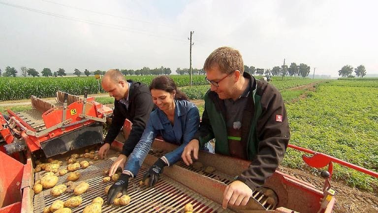 Bauer Dirk mit Lena bei der Kartoffelernte