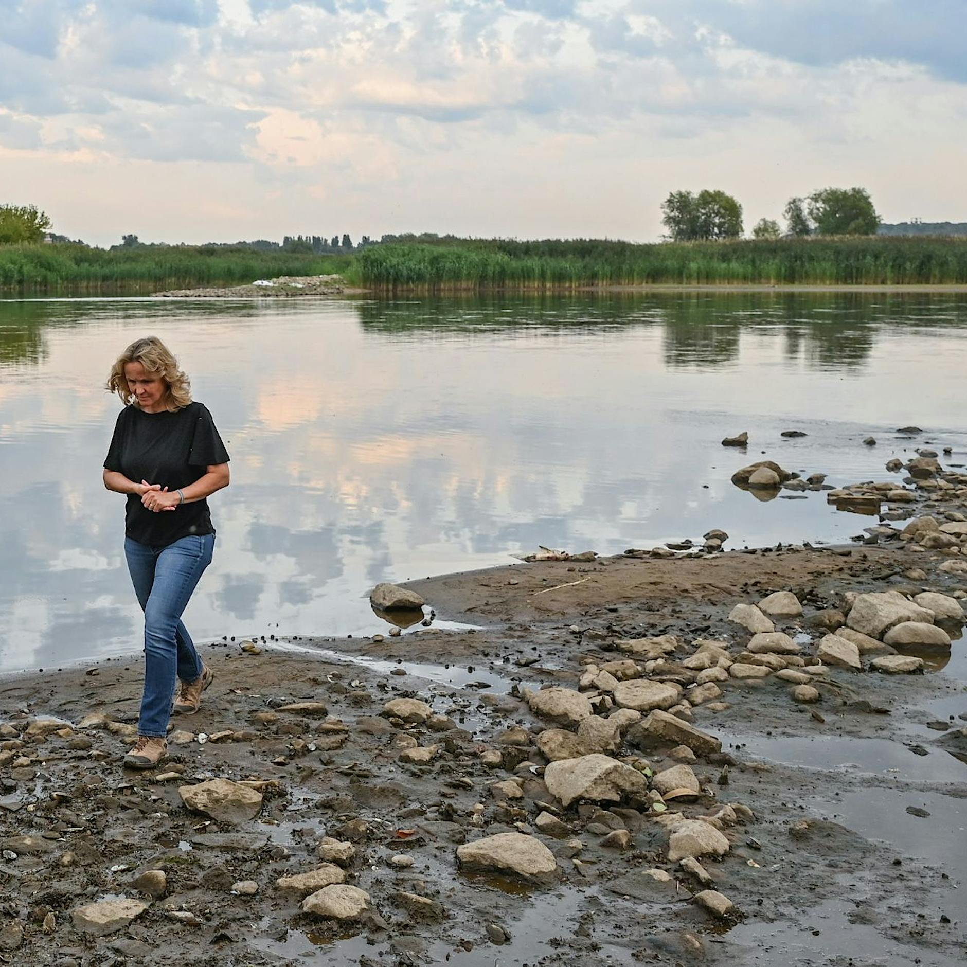 Lemke pocht auf Stopp von Oder-Ausbau - Deutschland und Polen beraten