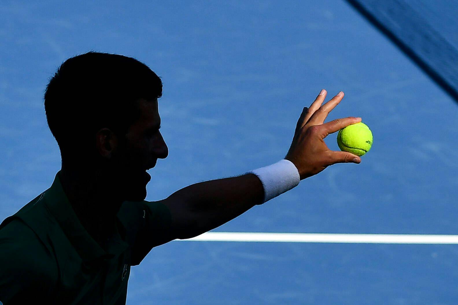 Novak Djokovic hält einen Tennisball in der Hand.