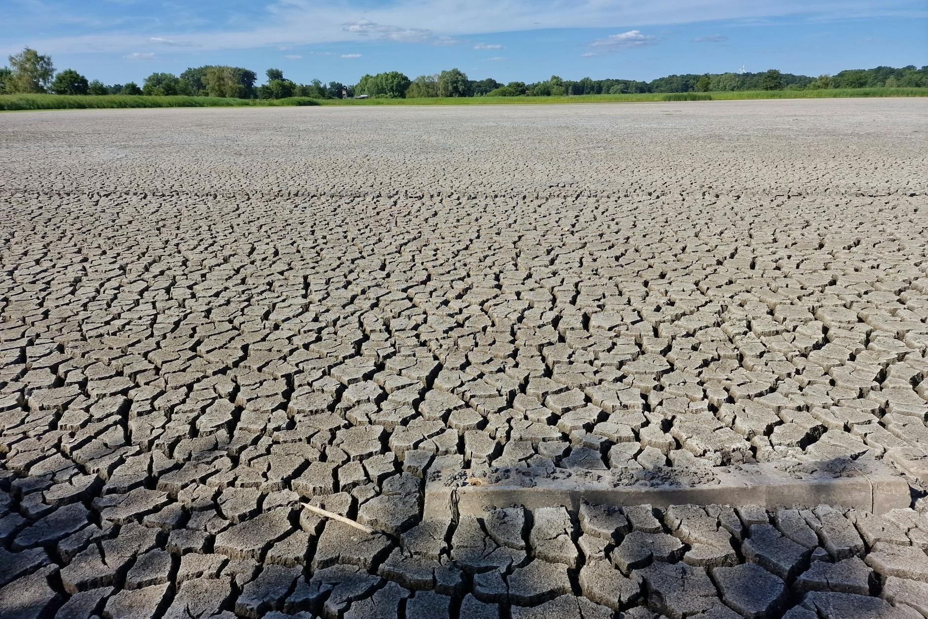 Ausgetrocknete Fischteiche in Brandenburg an der Havel