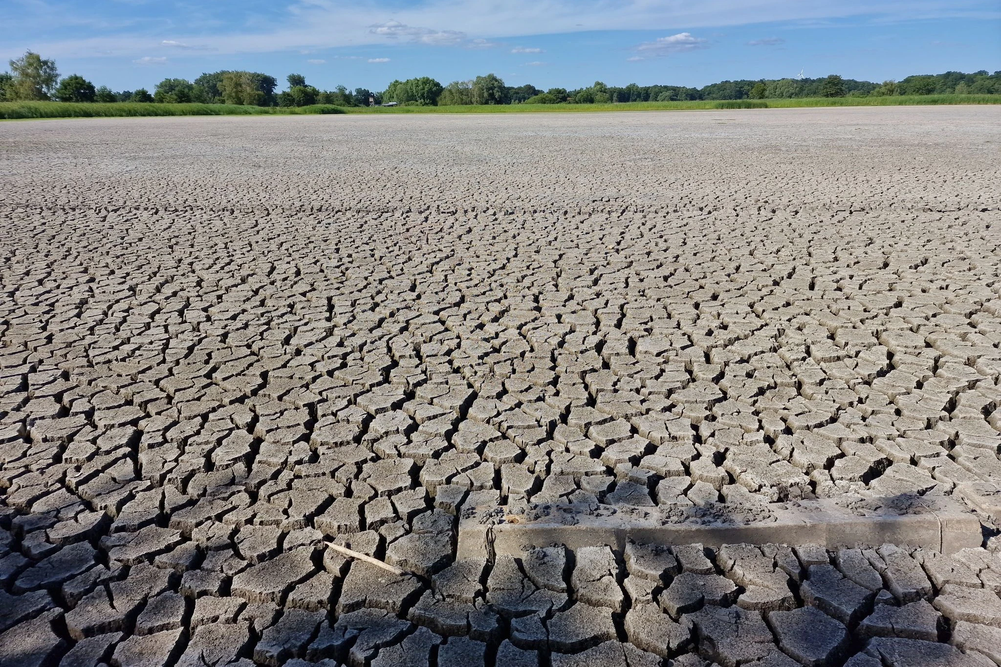 Ausgetrocknete Fischteiche in Brandenburg an der Havel