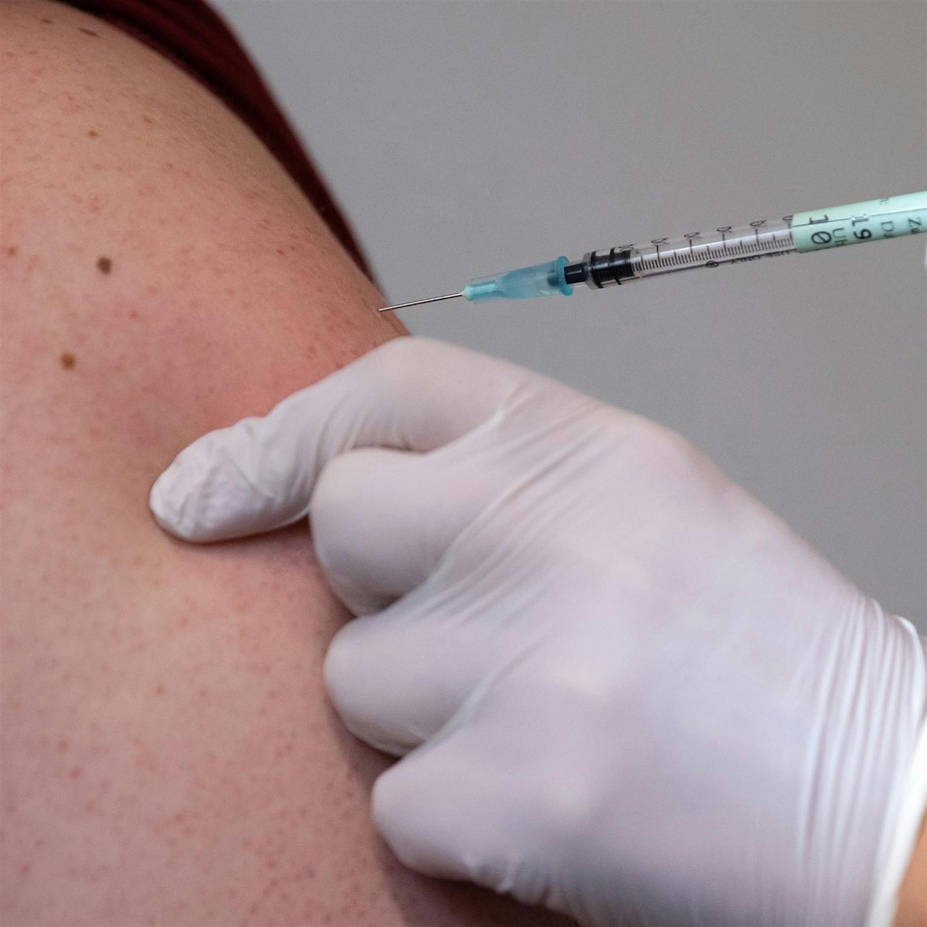 Image - Biontech vervollständigt Antrag für aktualisierten Impfstoff