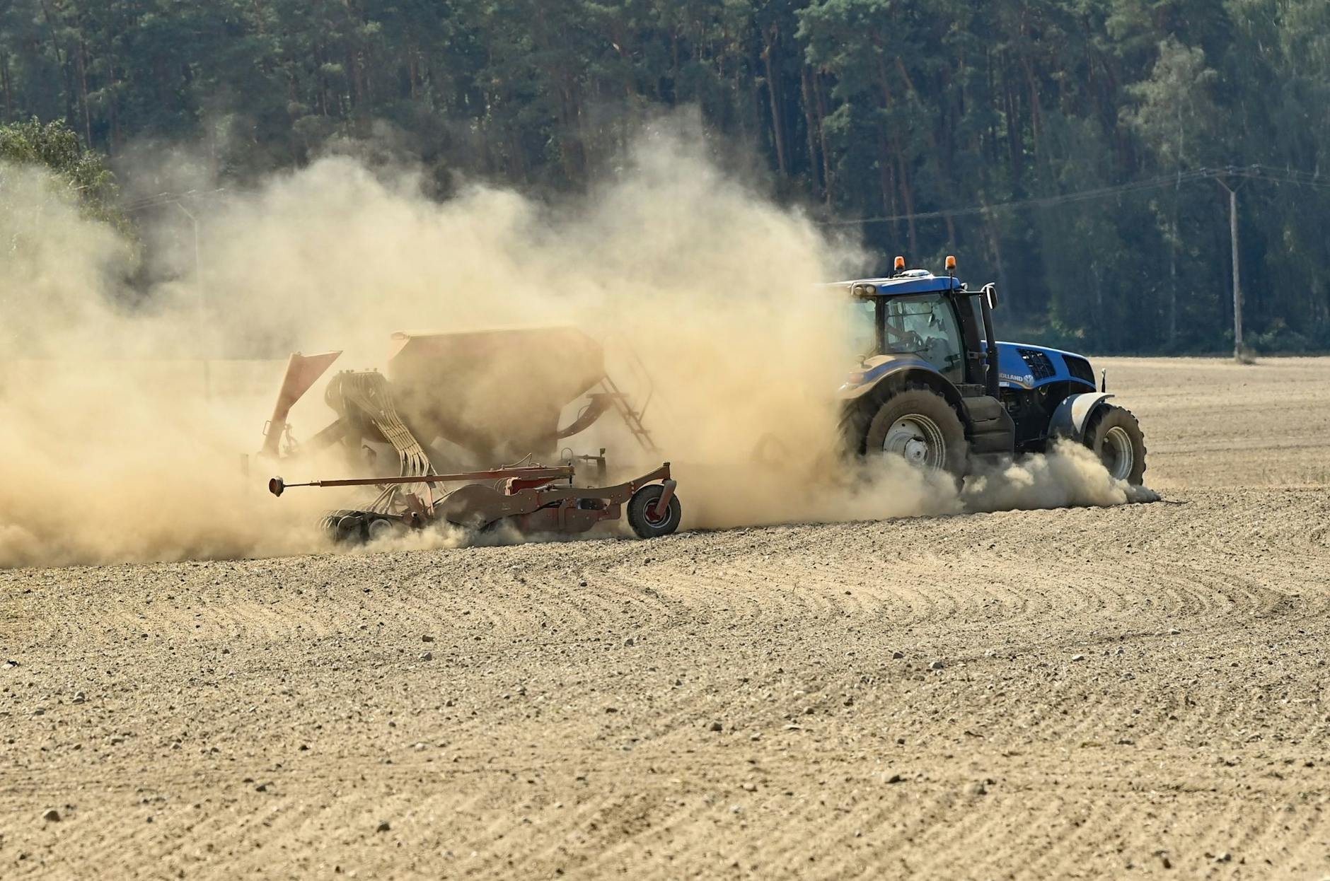 Ein Landwirt fährt mit einem Traktor über den trockenen Acker und bringt Rapssaat in den Boden.
