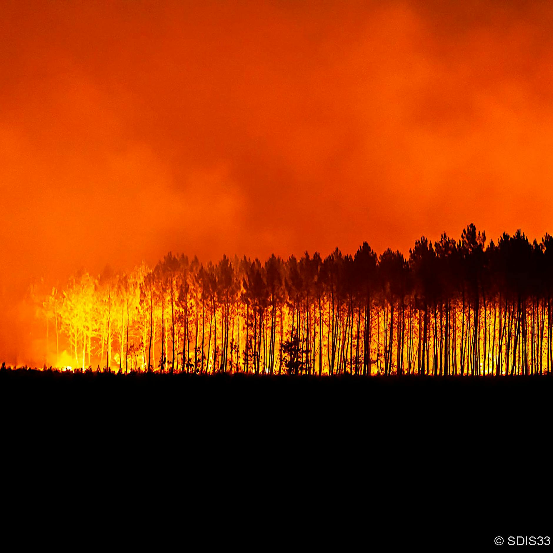 Zeitalter des Feuers: Wie Forscher gegen zunehmende Waldbrände vorgehen wollen
