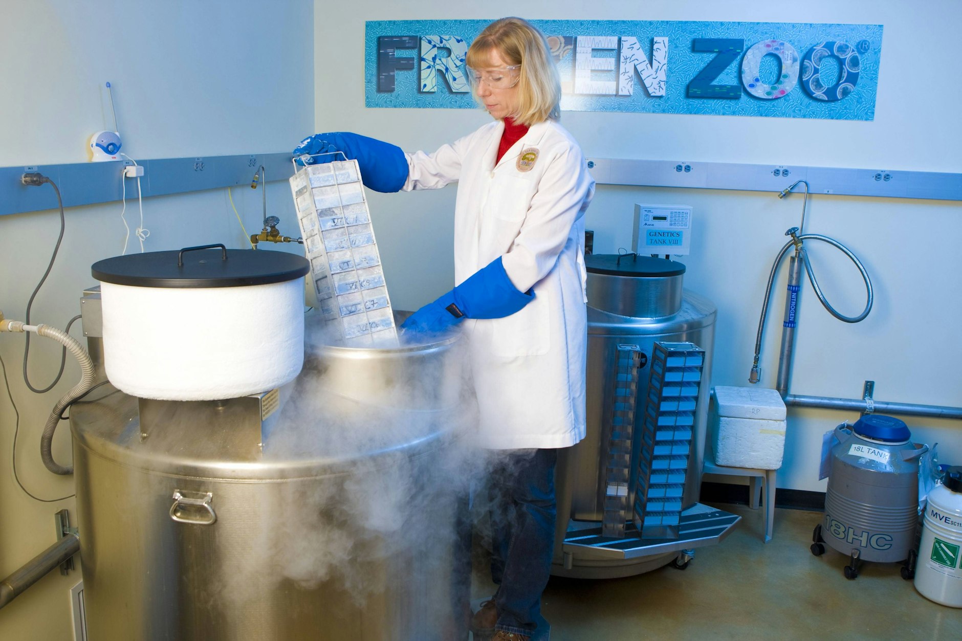 Tiere aus dem Gefrierfach holen wie eine Tiefkühlpizza, das bietet der Frozen Zoo