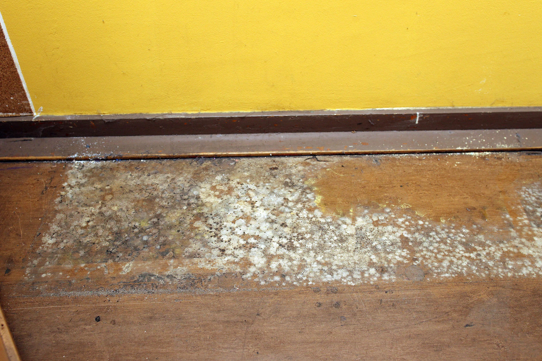 Schimmel Im Boden