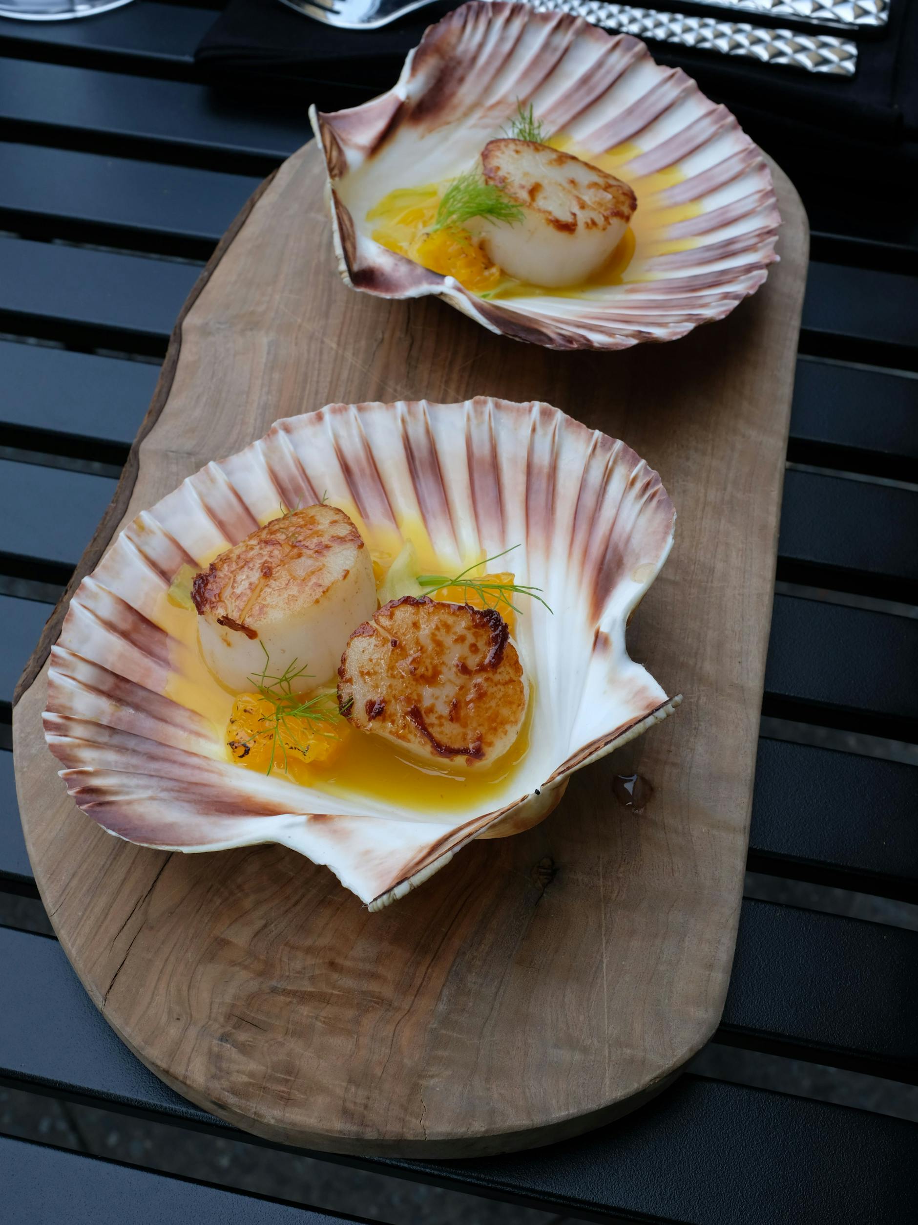 Jakobsmuscheln - in der eigenen Schale sind sie schwimmend in einem sehr leichten Fenchelextrakt-Orangensüppchen angerichtet.