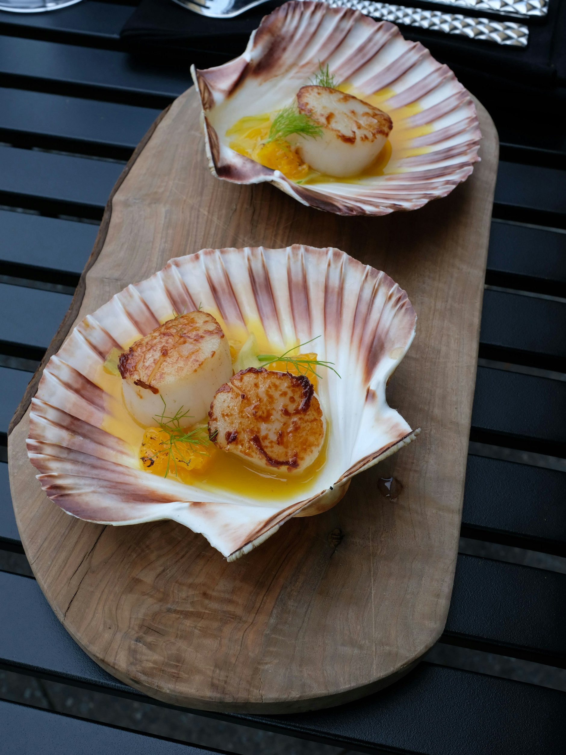 Jakobsmuscheln - in der eigenen Schale sind sie schwimmend in einem sehr leichten Fenchelextrakt-Orangensüppchen angerichtet.