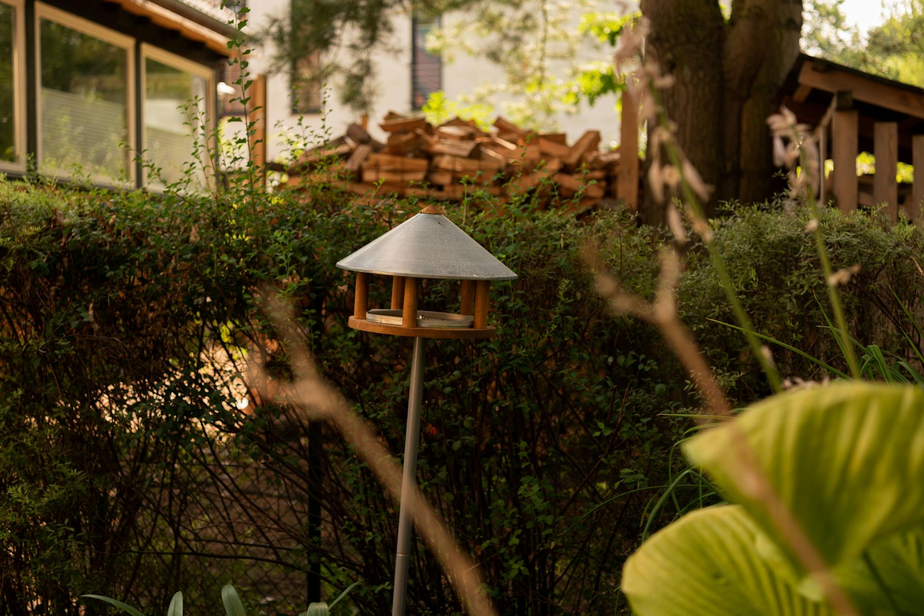 Barbara und Michael Rothenberg haben unerwünschte Untermieter auf ihrem Grundstück.