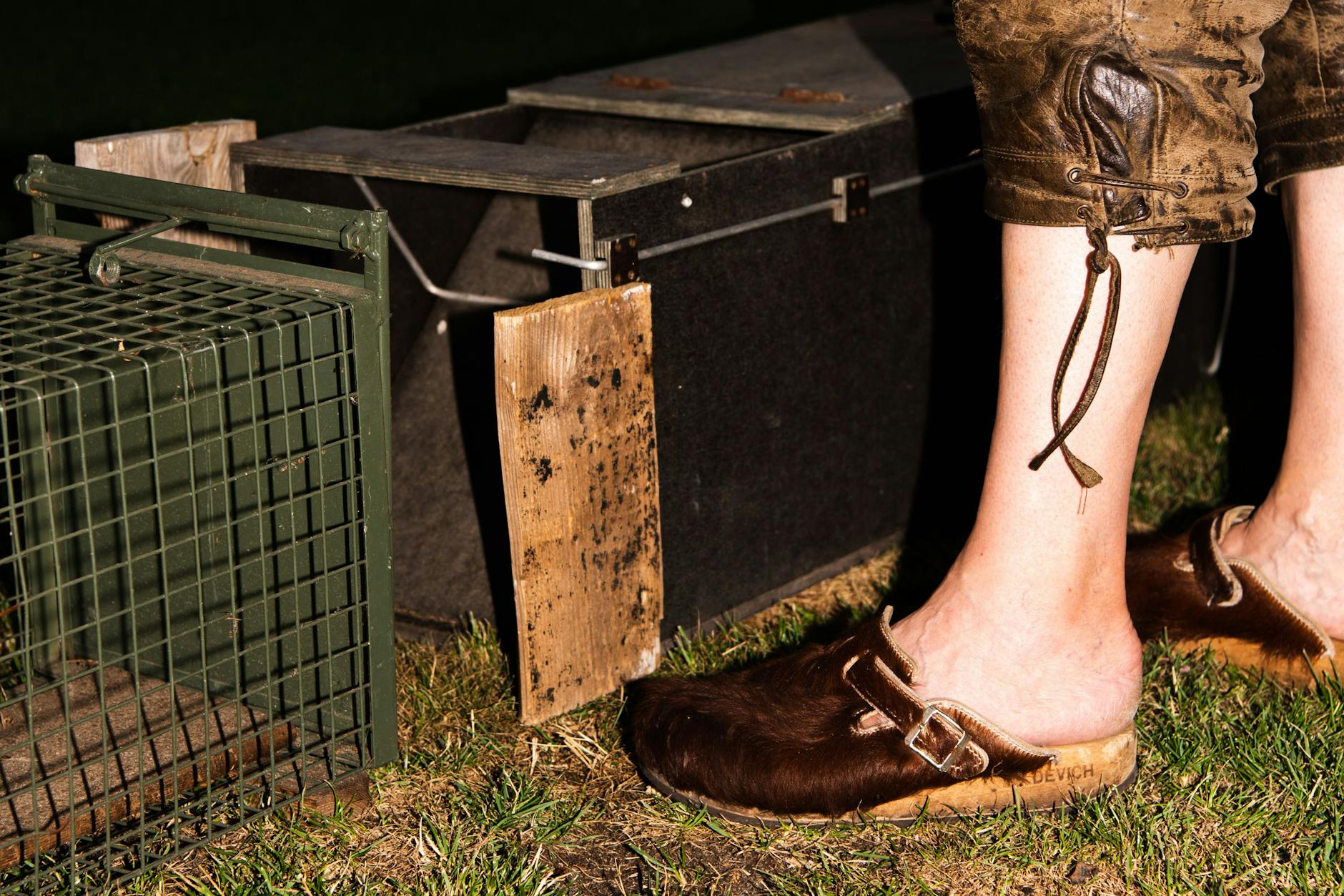 Lebendfallen sind in Brandenburg erlaubt, in Berlin verboten.