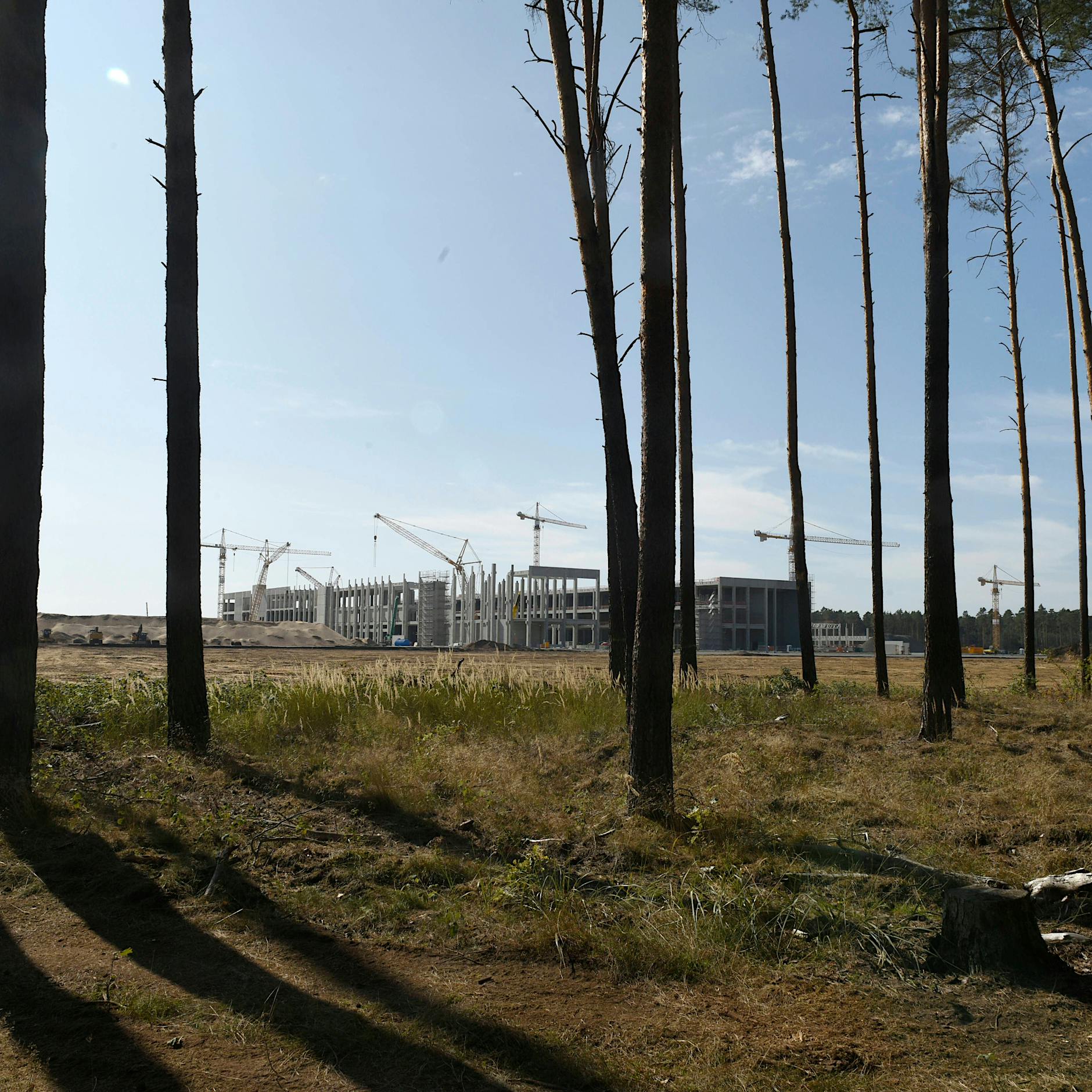 Elon Musk und das Moor: „Nie die ganze Wahrheit, das ist das Tesla-Prinzip“