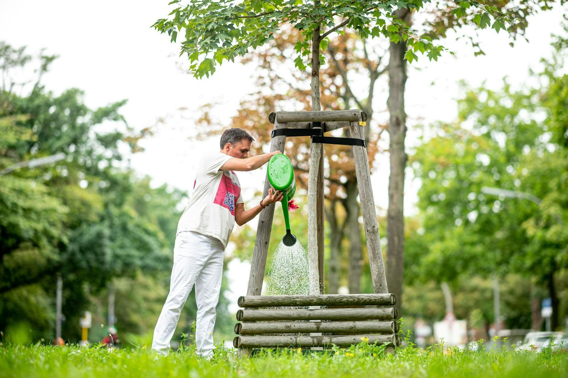 PRODUKTION - Sebastian Herges gießt bei Trockenheit Stadtbäume in Berlin.