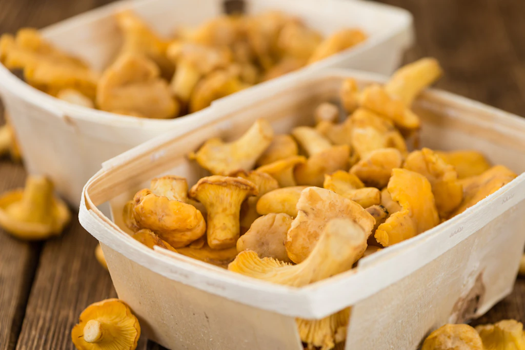 Ab in die Pilze! So gesund sind Pfifferlinge