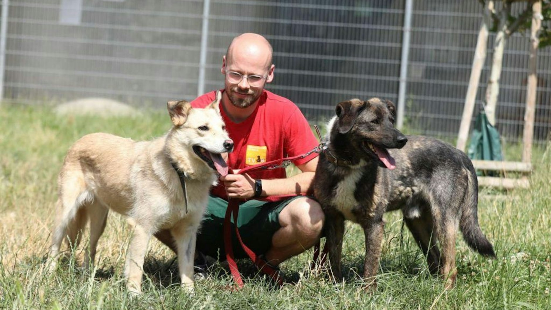 Sonya lebt mit ihrem Kumpel Kamal zusammen im Tierheim Berlin.