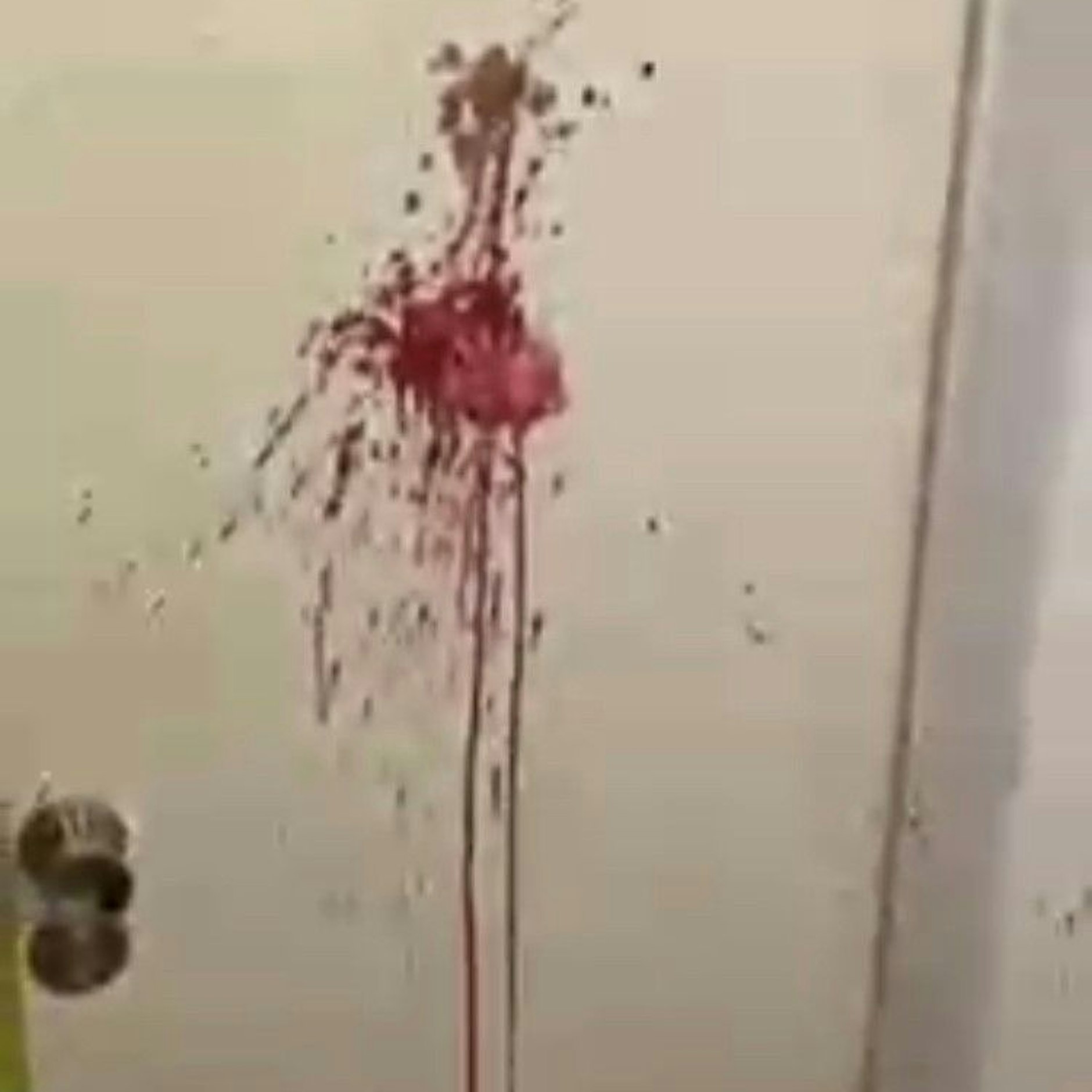 Der Filmausschnitt – daher die schlechte Qualität – zeigt eine blutbeschmierte Wohnungstür dicht neben der Tatwohnung.