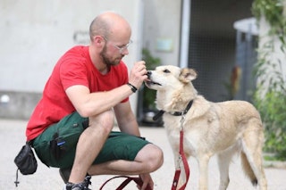 Arme, kleine Sonya: Dass sie noch lebt, grenzt an ein Wunder! Wer gibt der traurigen Hündin ein neues Zuhause?