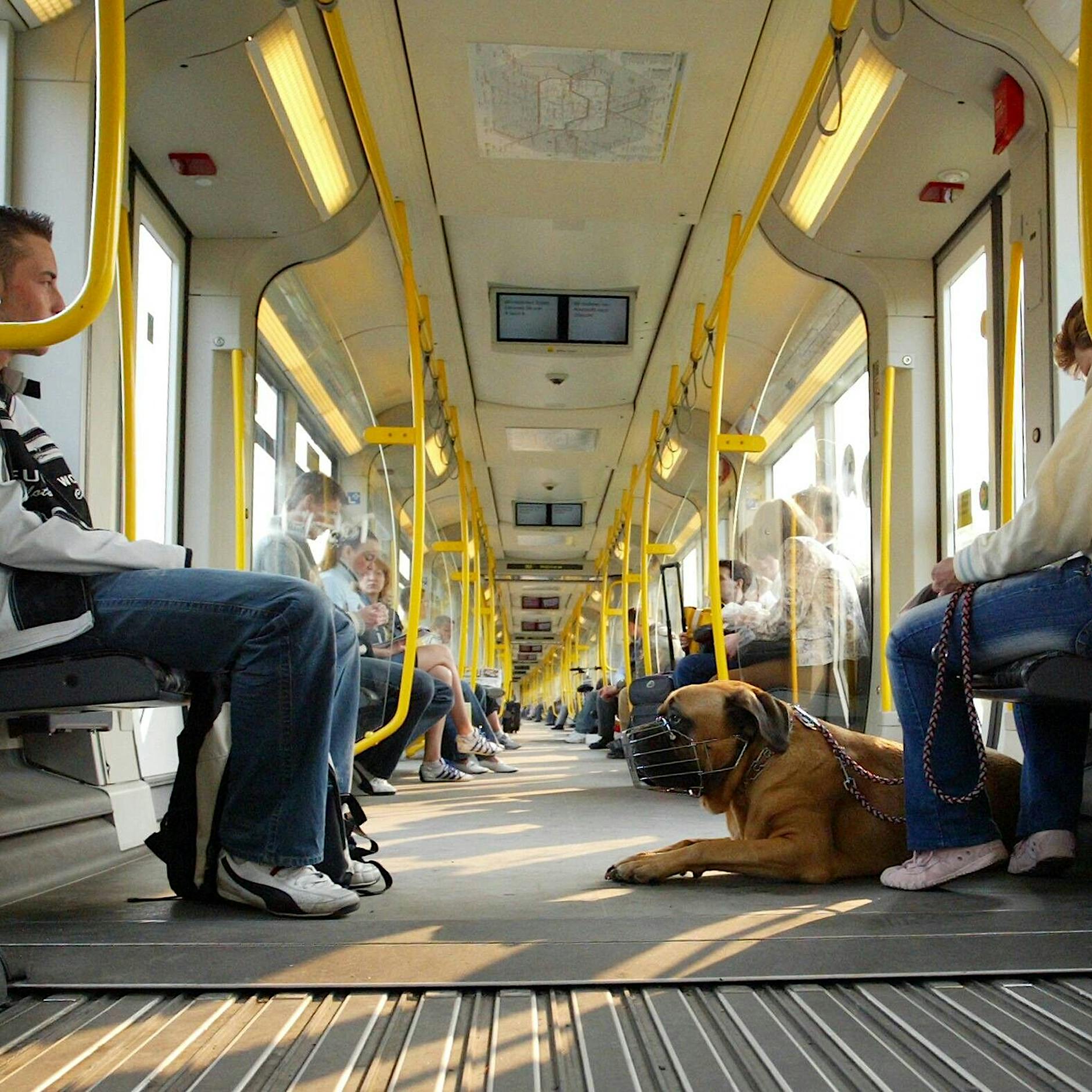 Bin ich krank, wenn ich in der U-Bahn und im ICE seltsame Stimmen höre?