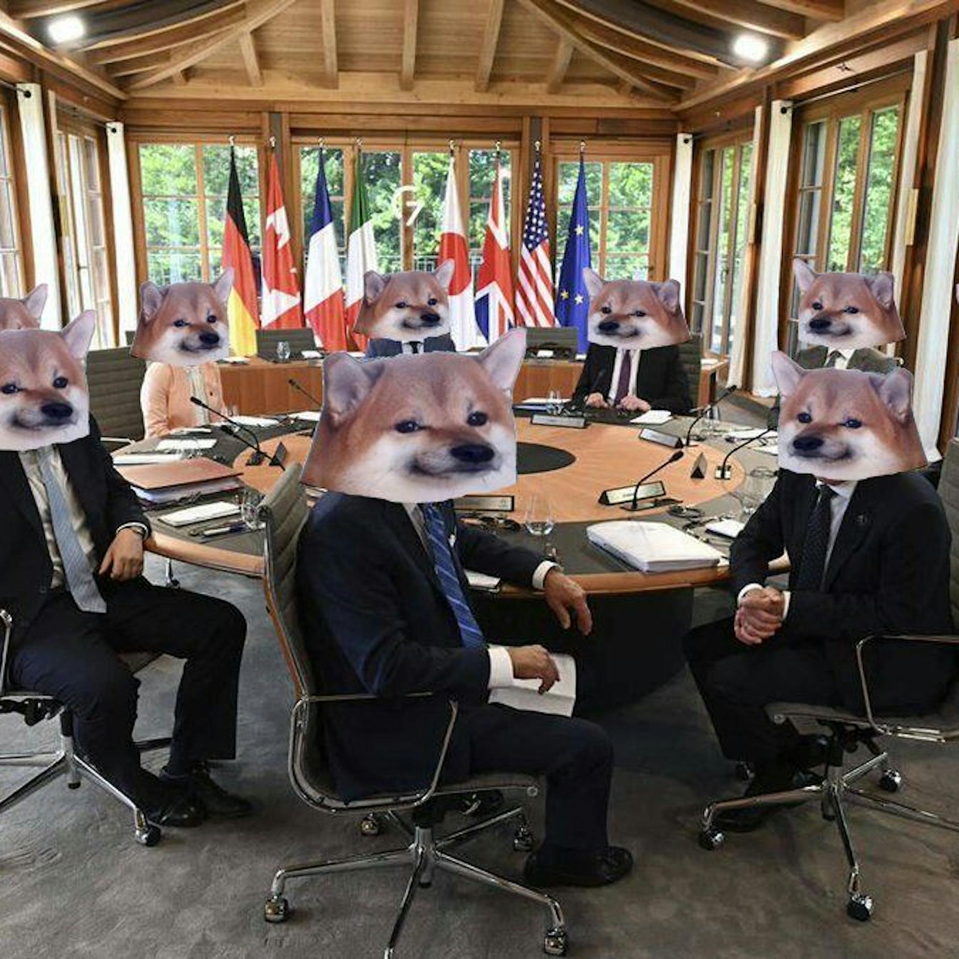 NAFO Fellas: Bewegung von Meme-Hunden zerstört die Putin-Propaganda