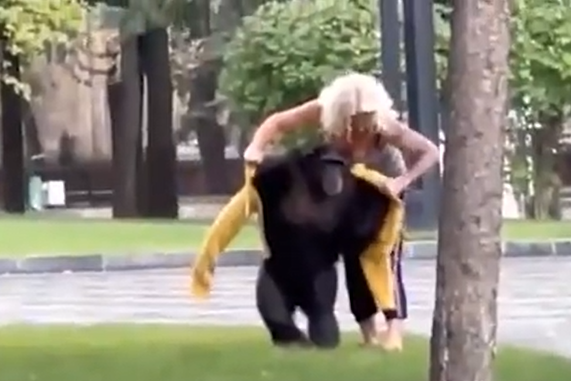 Der Schimpanse war aus dem Zoo von Charkiw entlaufen.