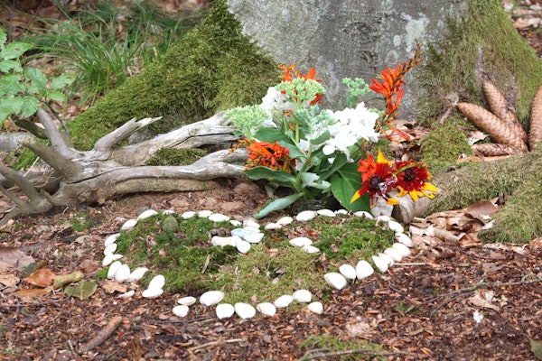 Ein Ruheforst auf der Insel Usedom. In dem Ruheforst können einzelne Personen, Familien oder andere im Leben verbundene Menschen beigesetzt werden.