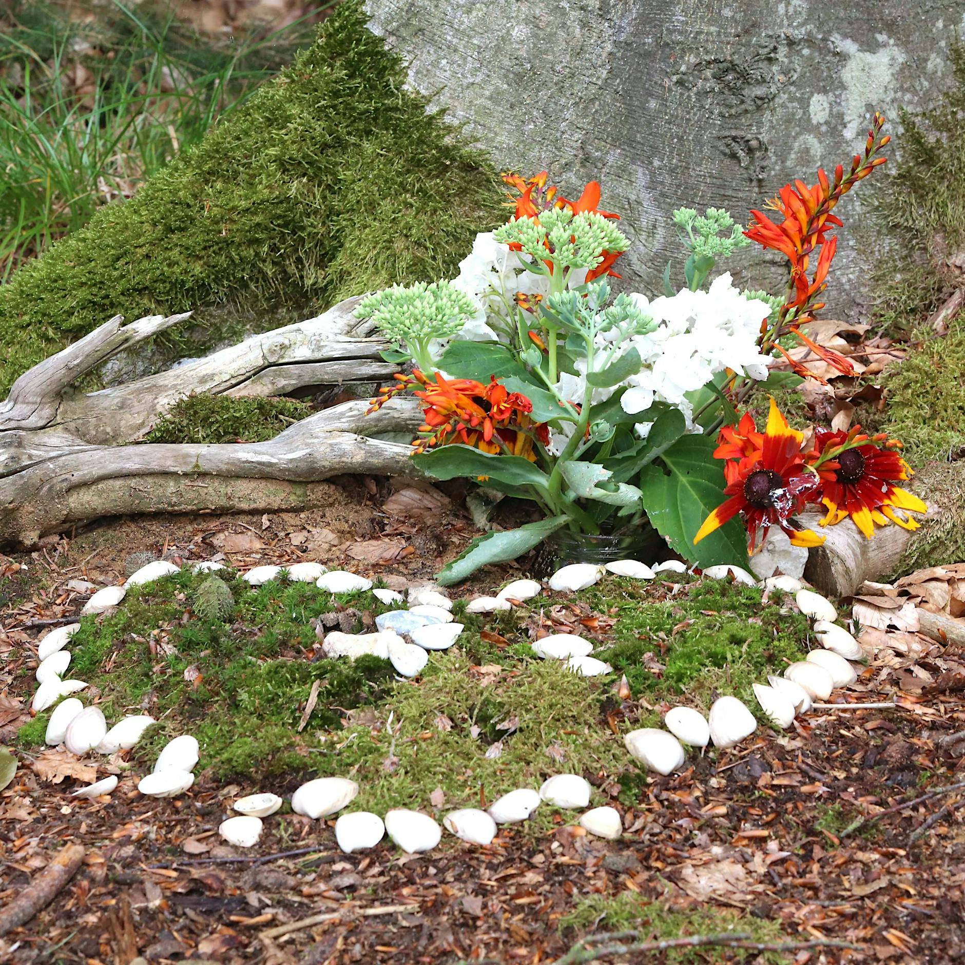 Bestatter Heigel: „Kompostieren könnte auch in Berlin ein Trend werden“