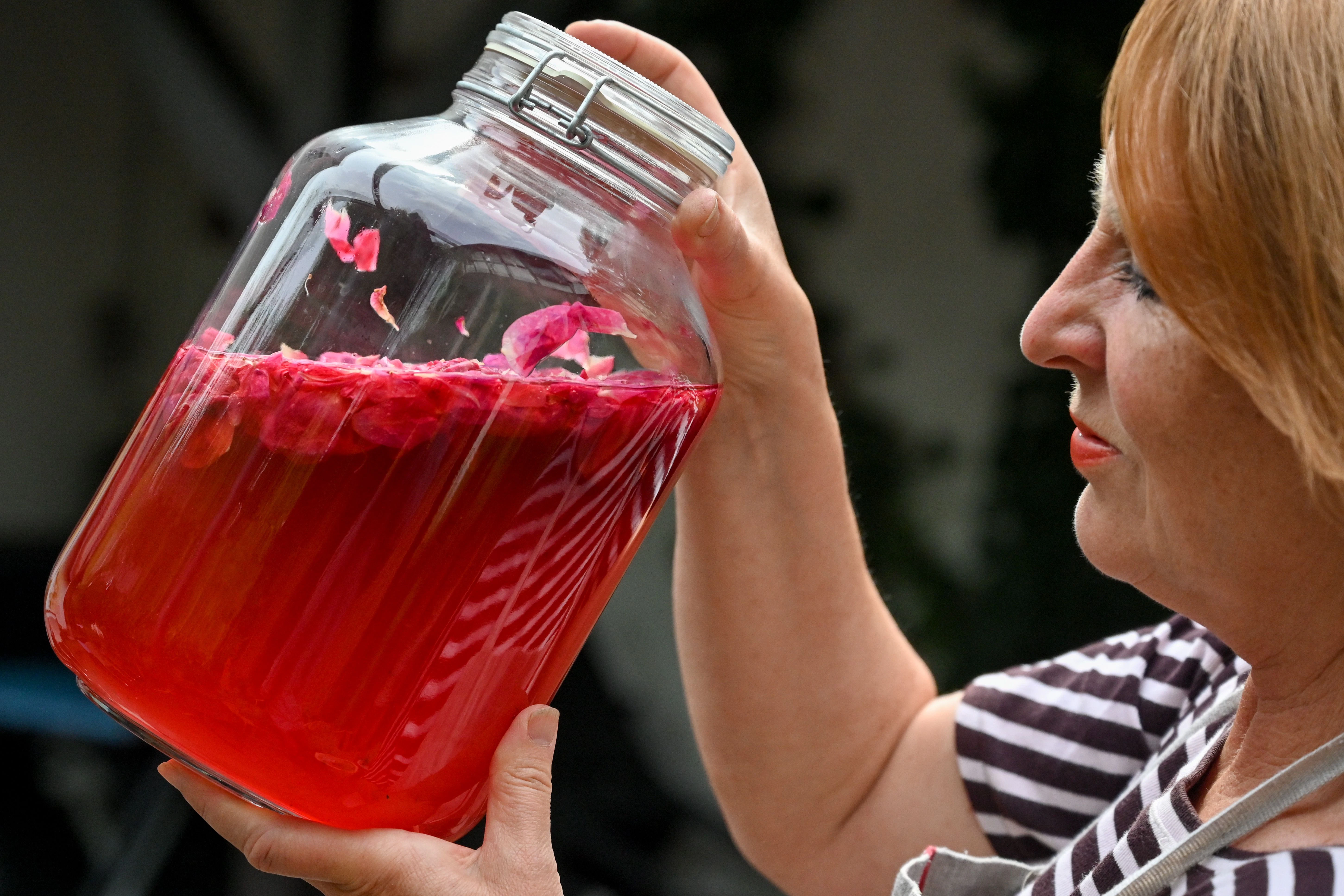 Elena von Gieck hält ein Glas mit Rosenblättern in Apfelessig.
