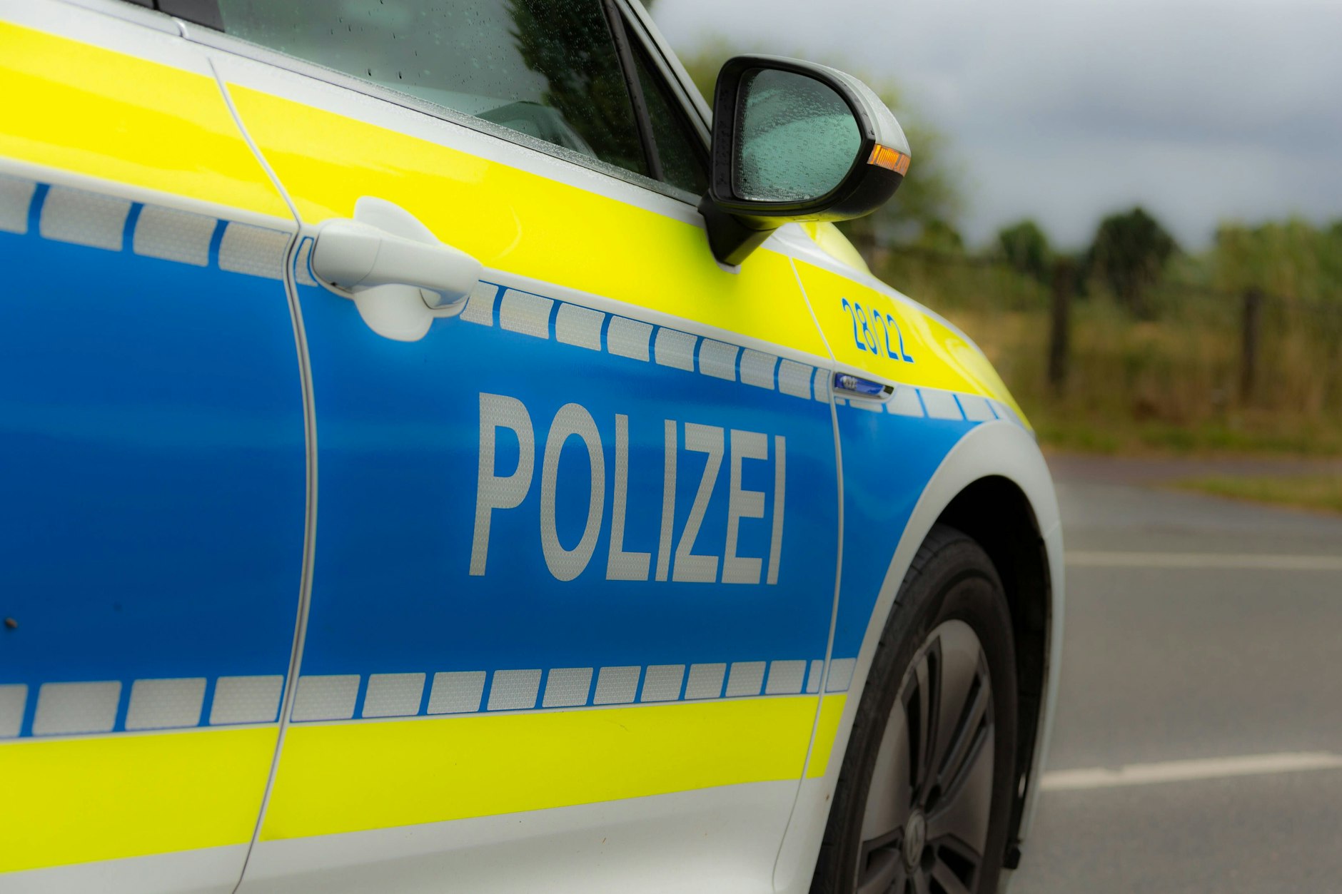In Barntrup haben Polizisten mit ihrem Streifenwagen absichtlich eine Katze überfahren.